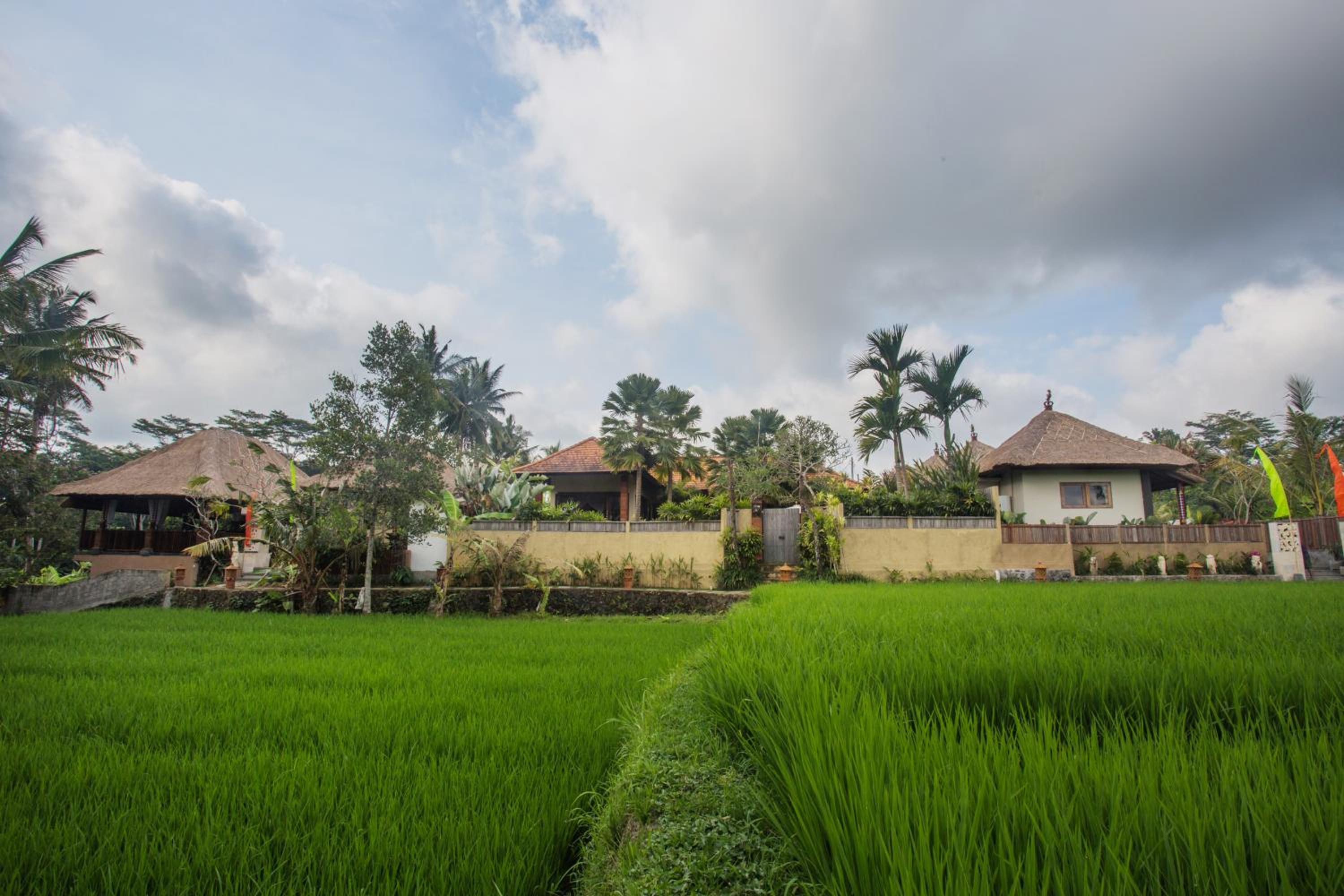 Hotel Ubud Luwih Nature Retreat