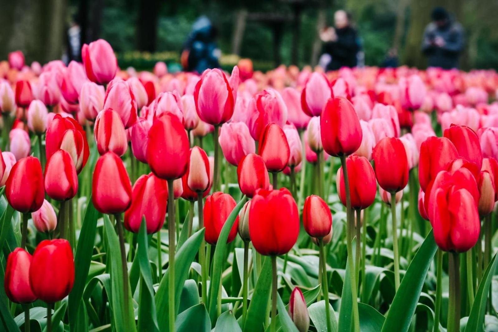 MarinaPark Residentie Bloemendaal