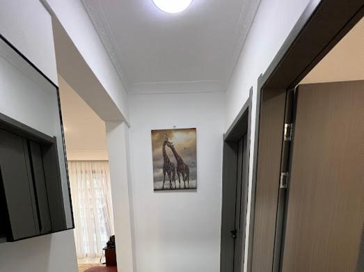 Joy's Luxury Homes