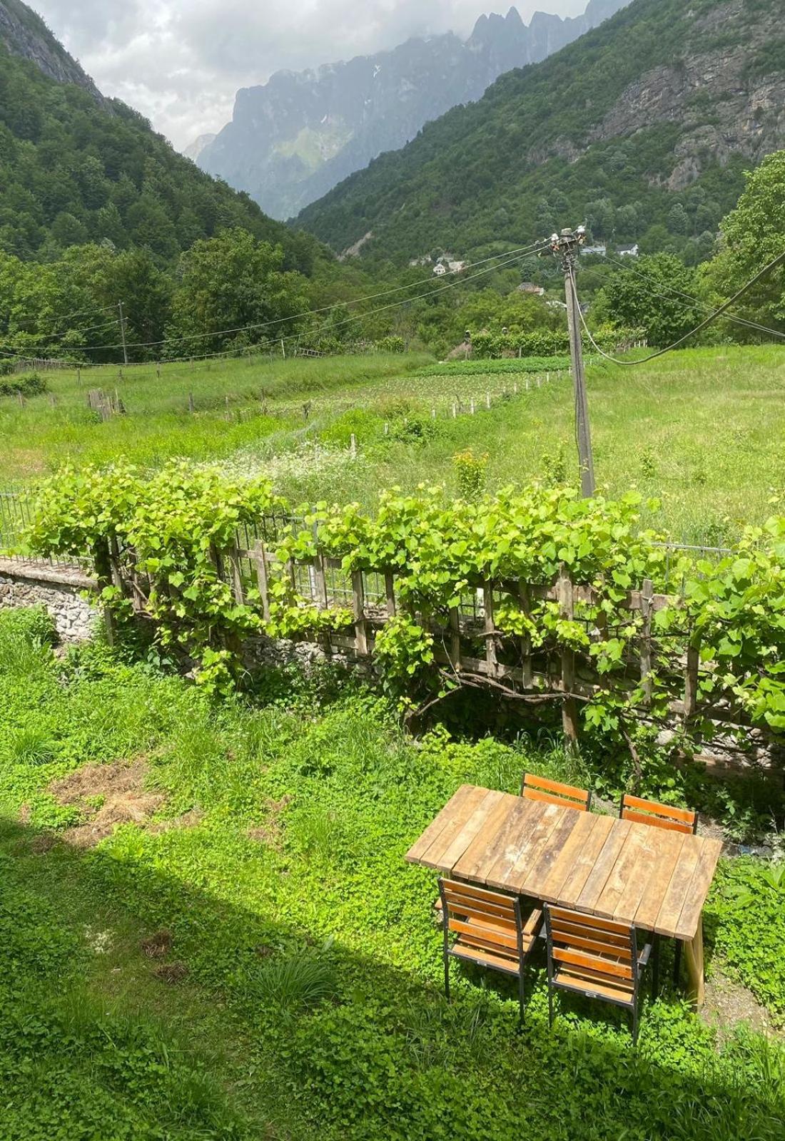 Guesthouse Sibora