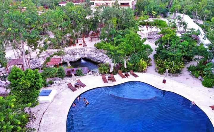 Studio avec piscines et cenotes naturelles view 4