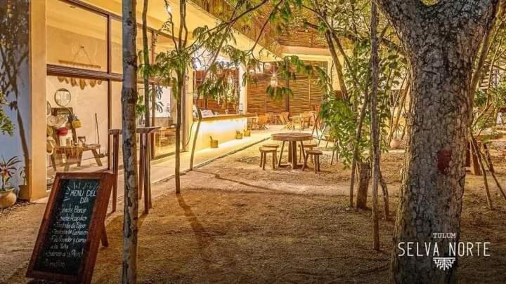 Studio avec piscines et cenotes naturelles view 5