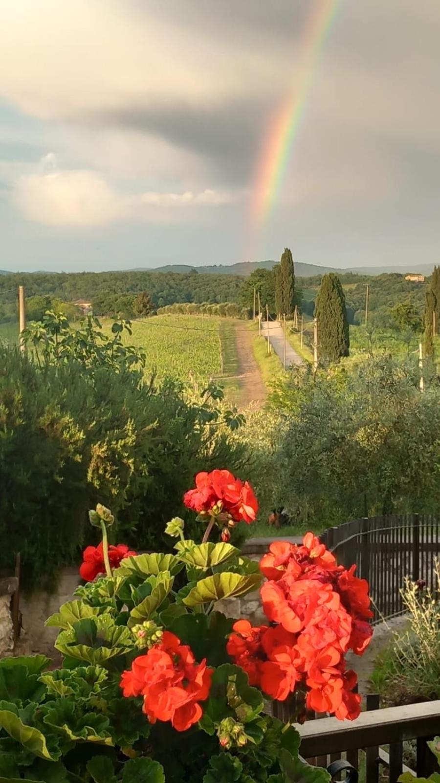 Casa il Cipresso view 2