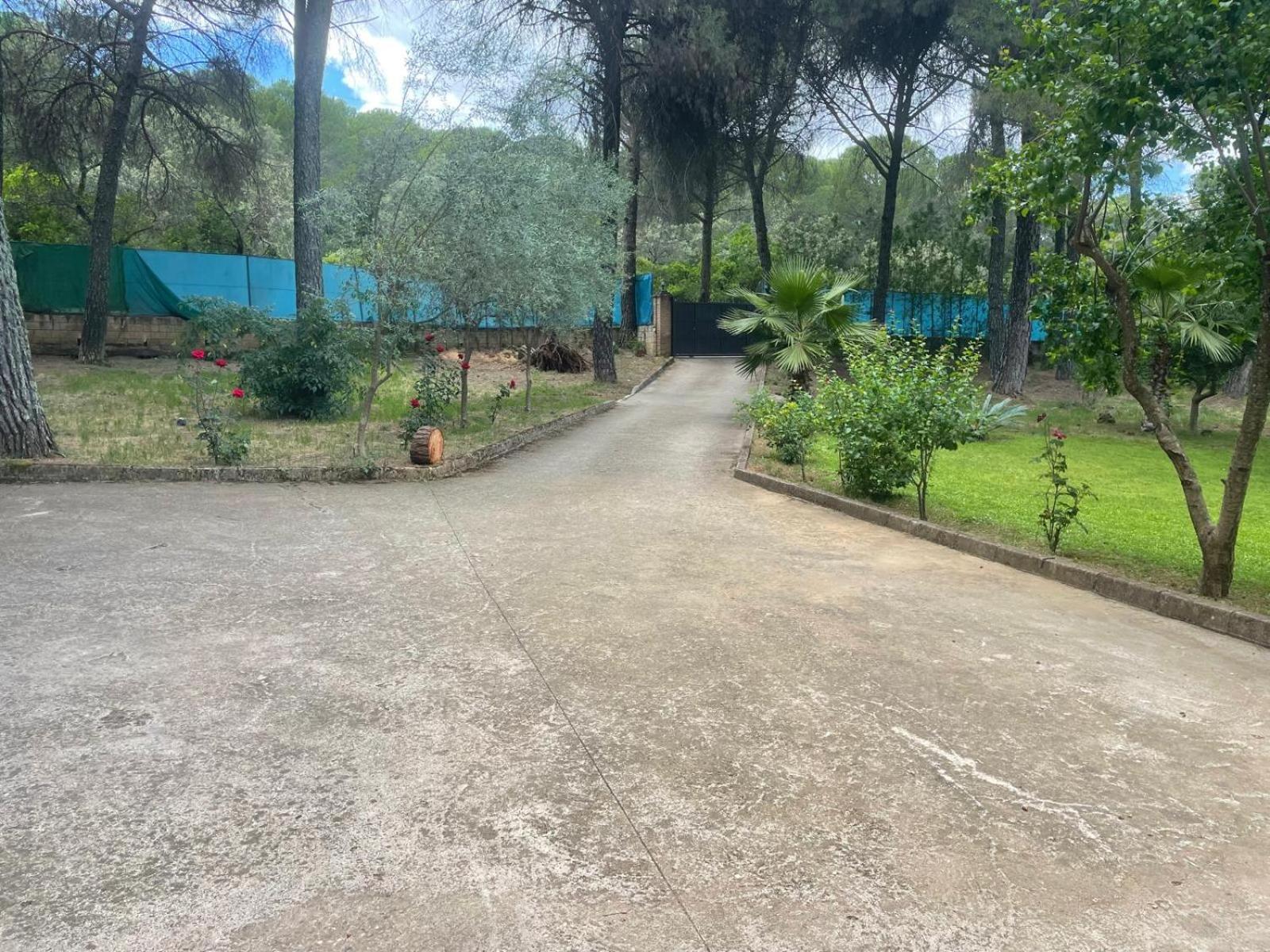 Casa las Rosas de Trassierra