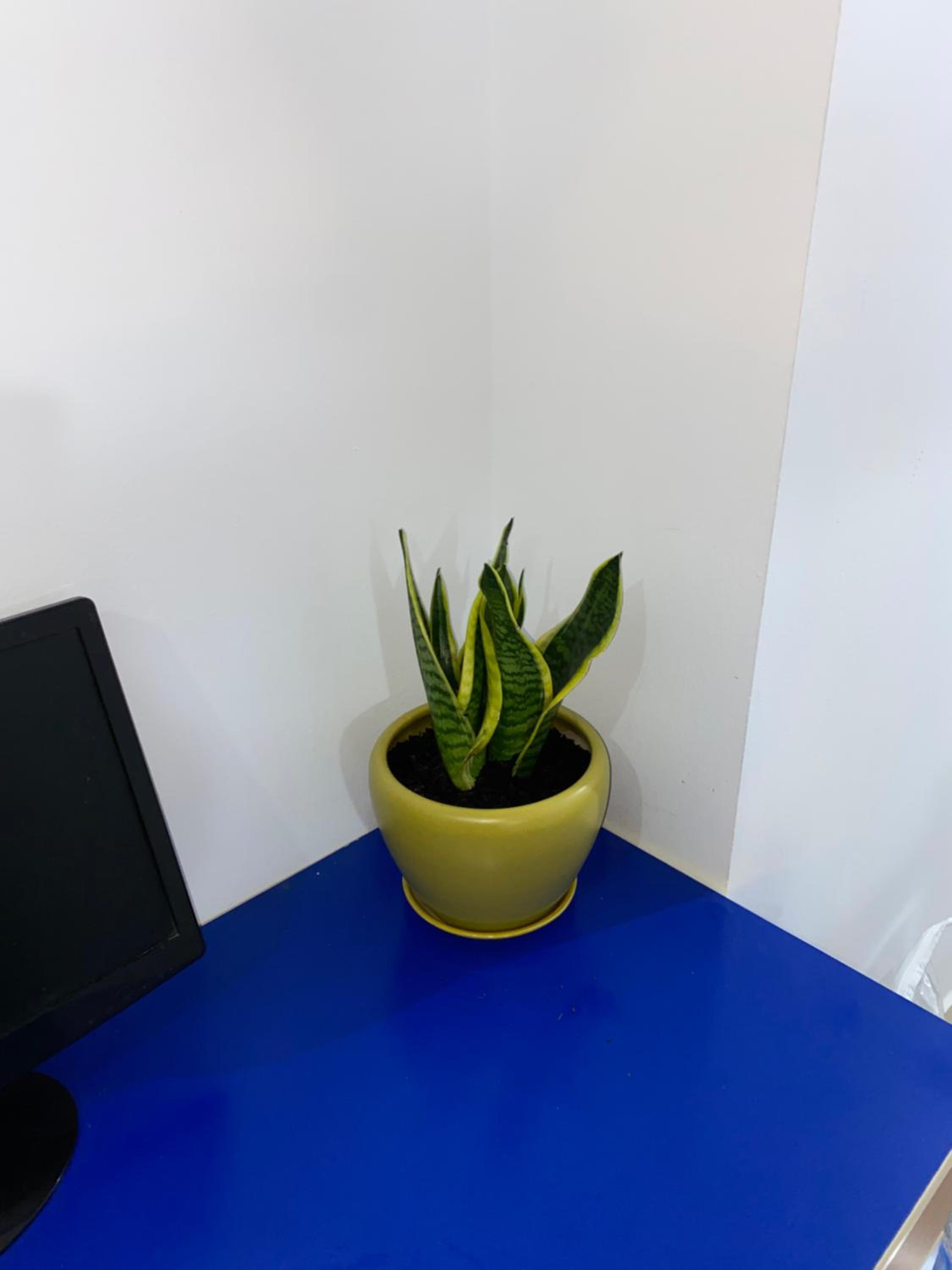 Martin Home