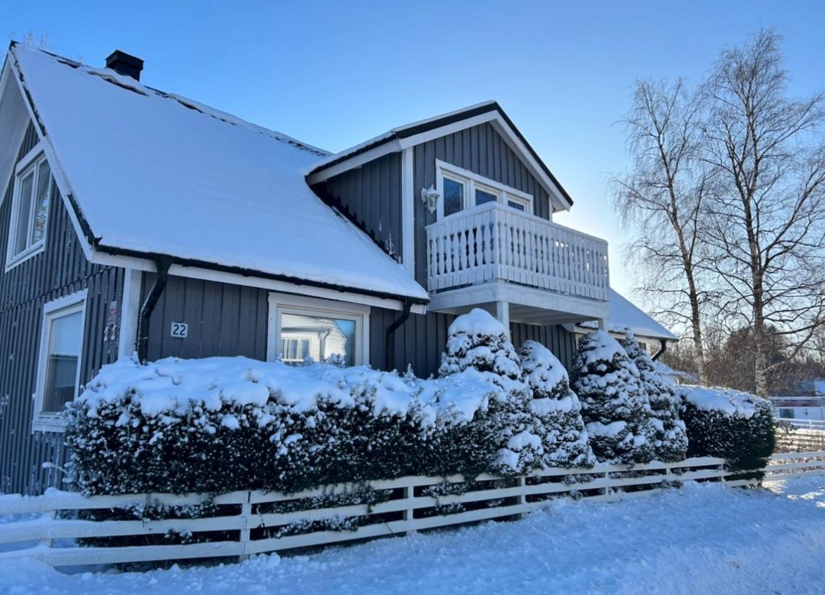Cozy house