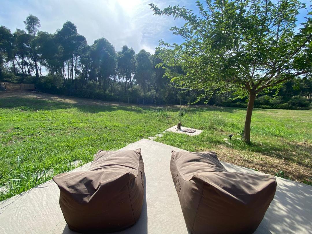 Wood house Halkidiki