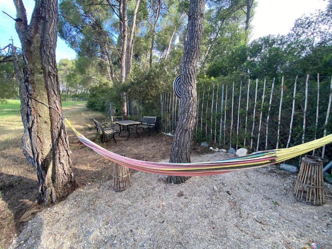 Wood house Halkidiki