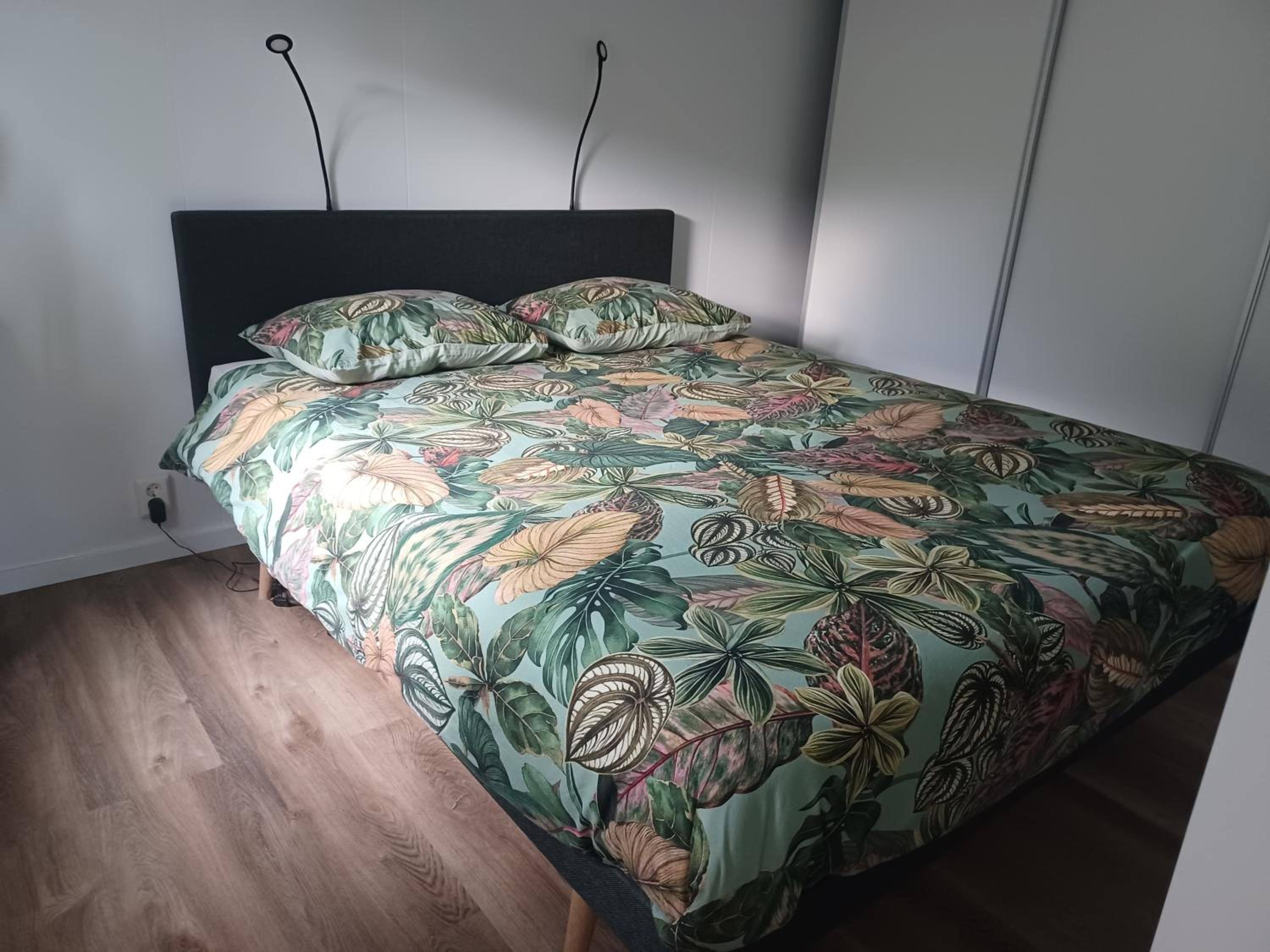 IJsvogel