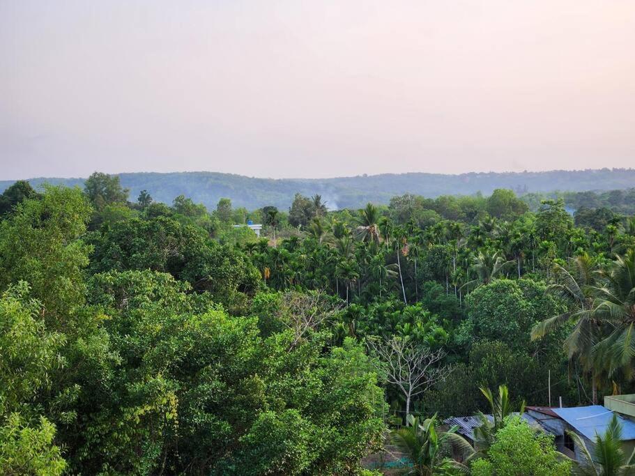 Large 4 Bedroom cozy nature villa in Udupi view 5