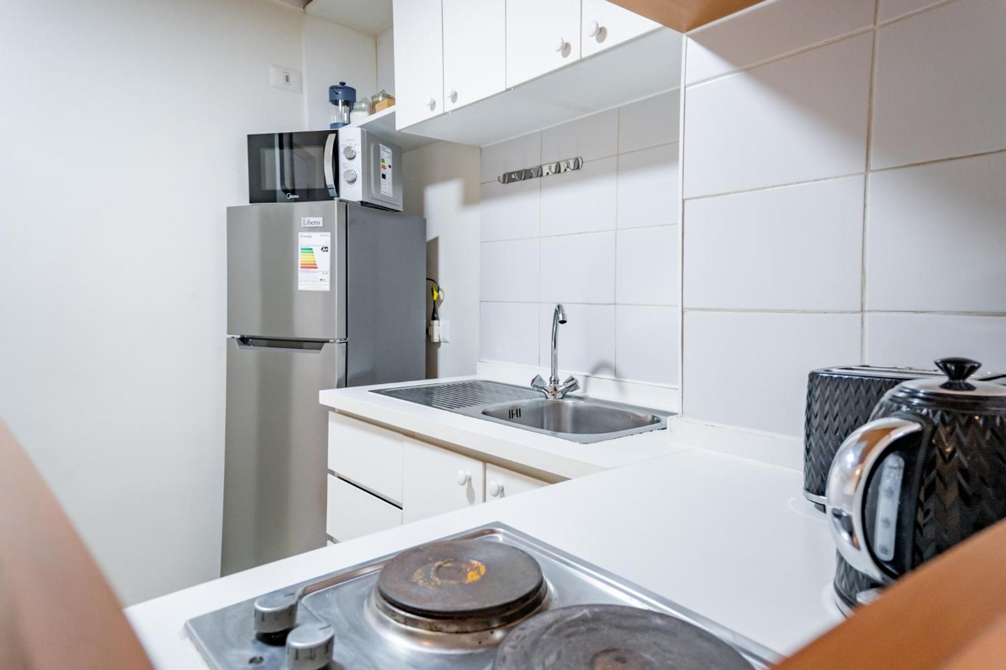 San Carlos rentals - Lastarria