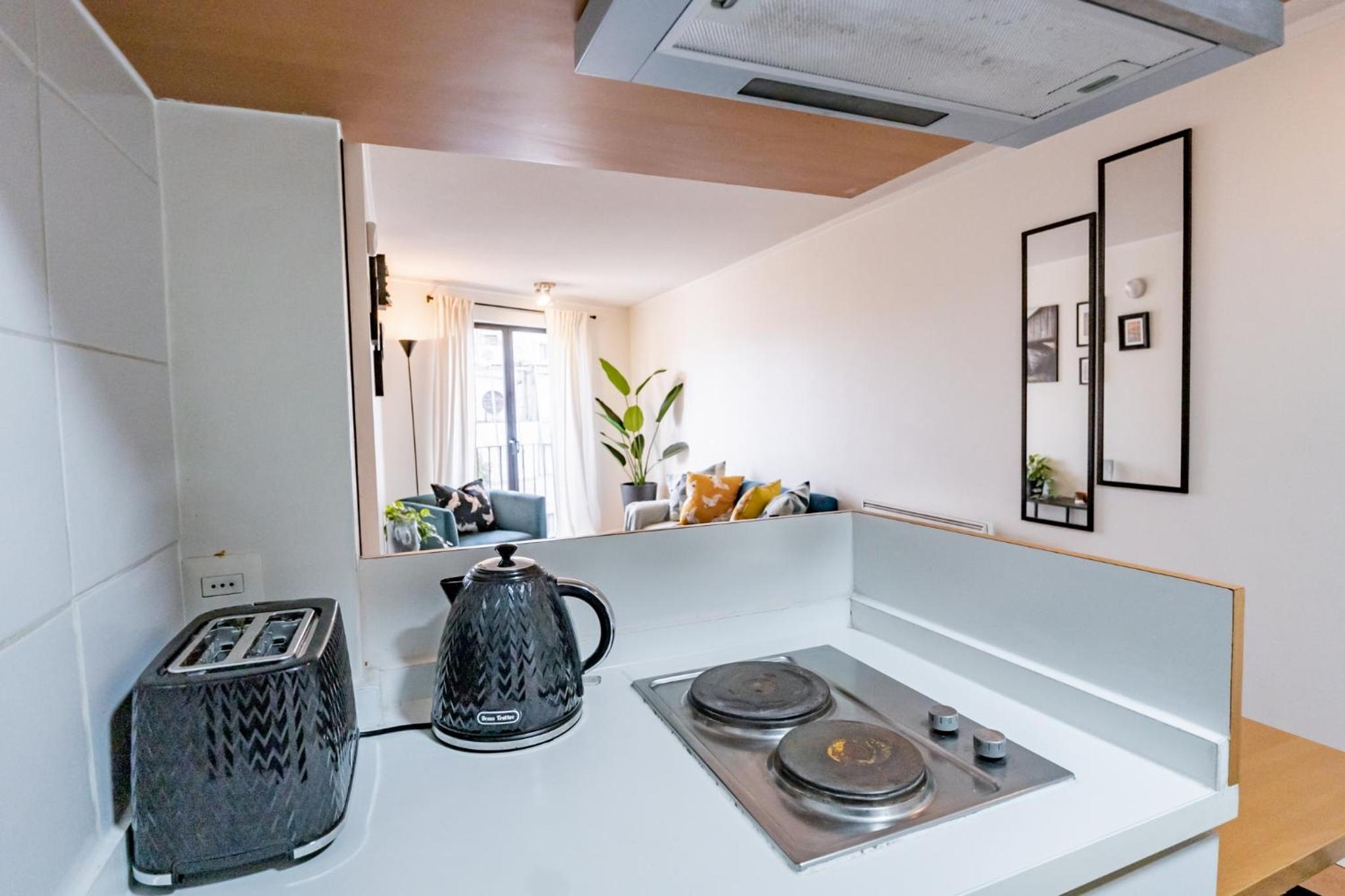 San Carlos rentals - Lastarria