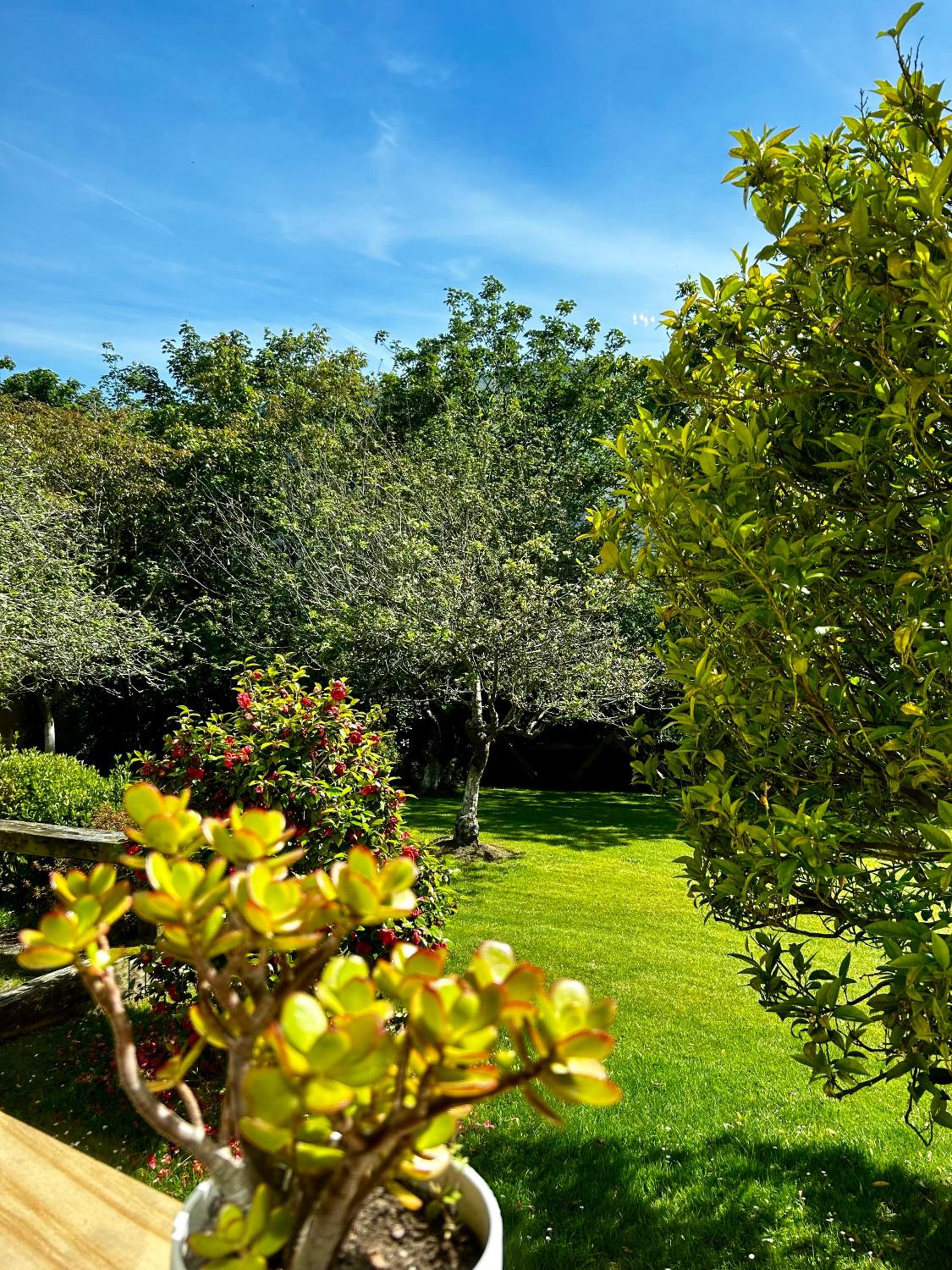 Apartamentos Rurales L'Arquera