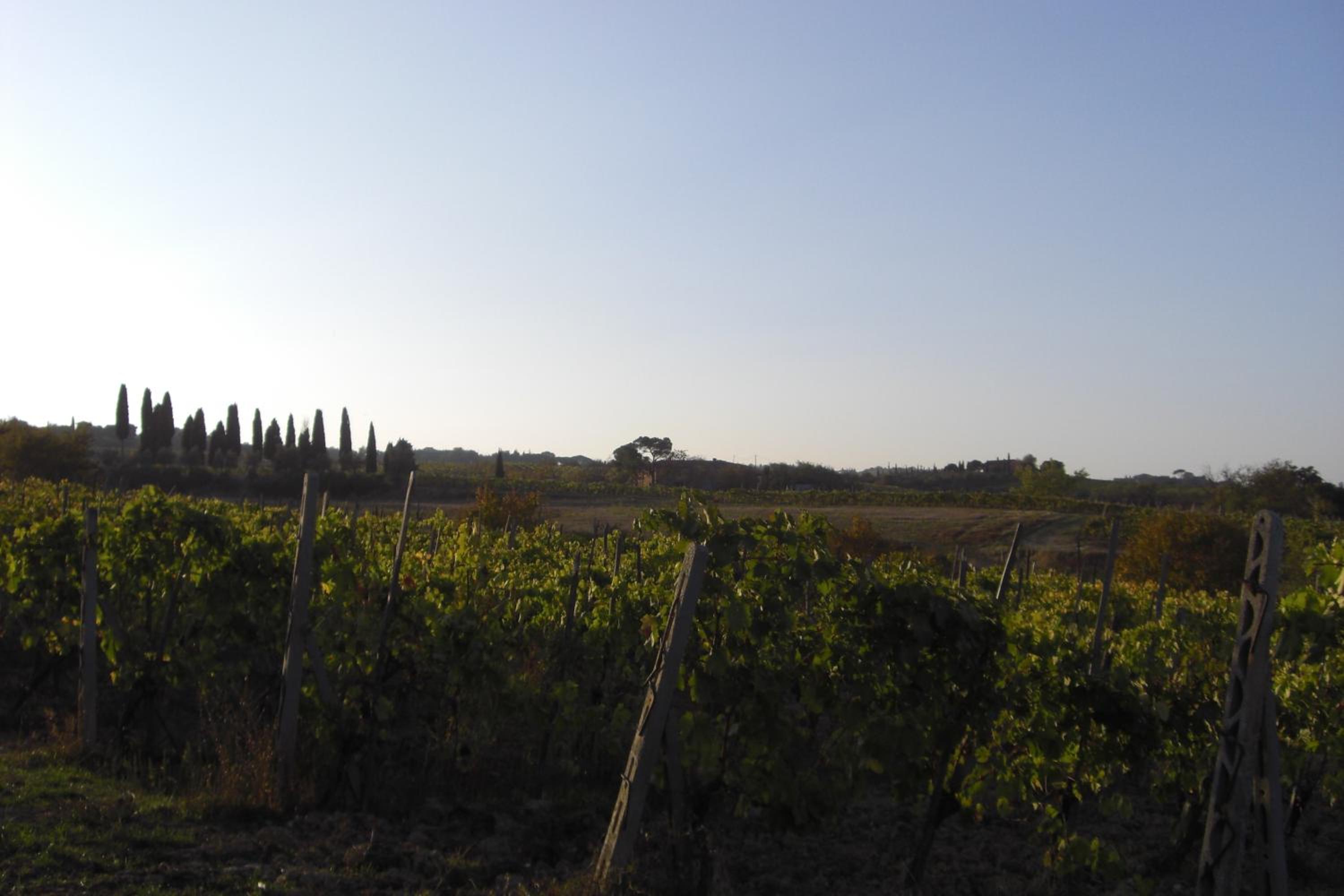 Tenuta Santagnese