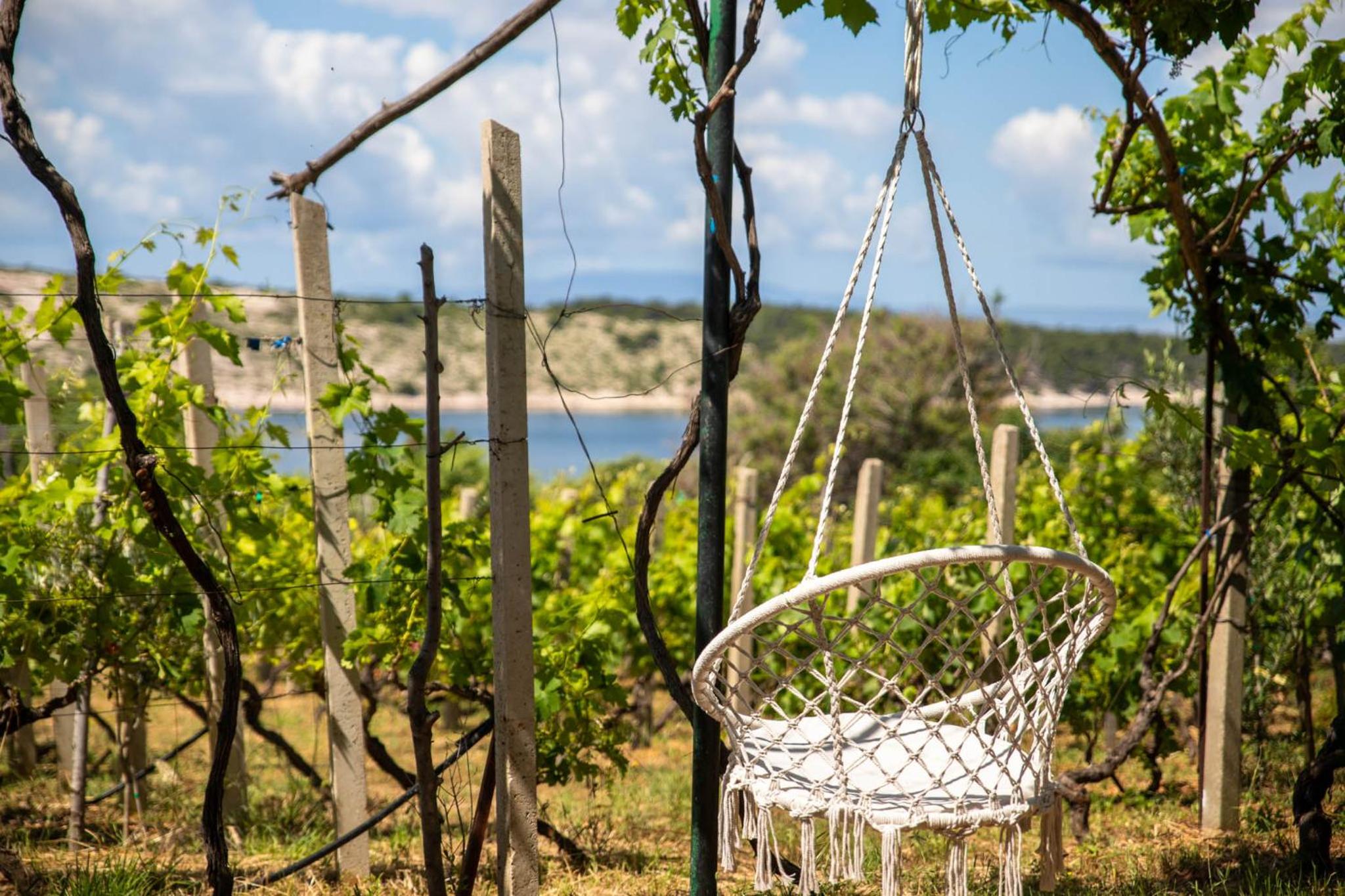 Private Vineyard House