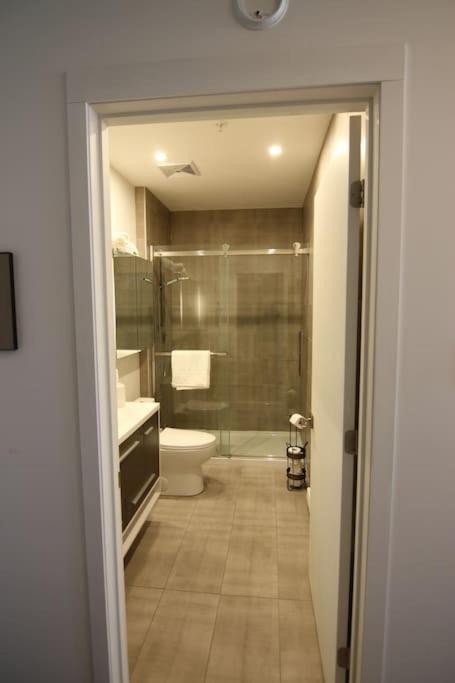 Lovely 1 Bedroom condo in Downtown Montreal