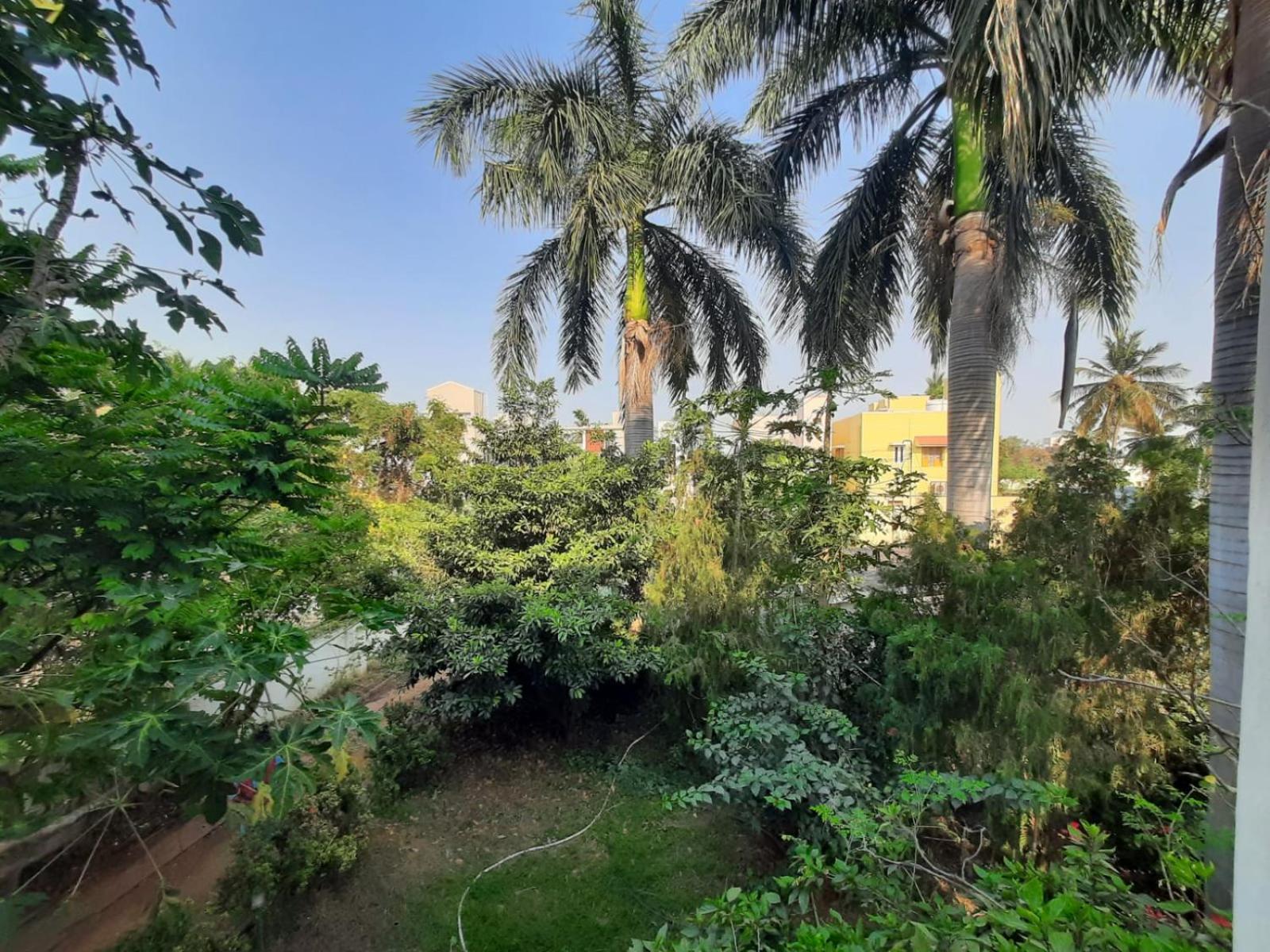 Ramana bhavan view 2