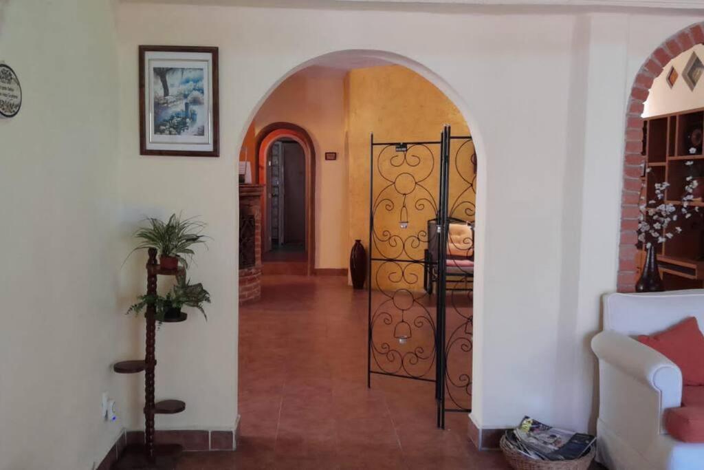 Photo 25
