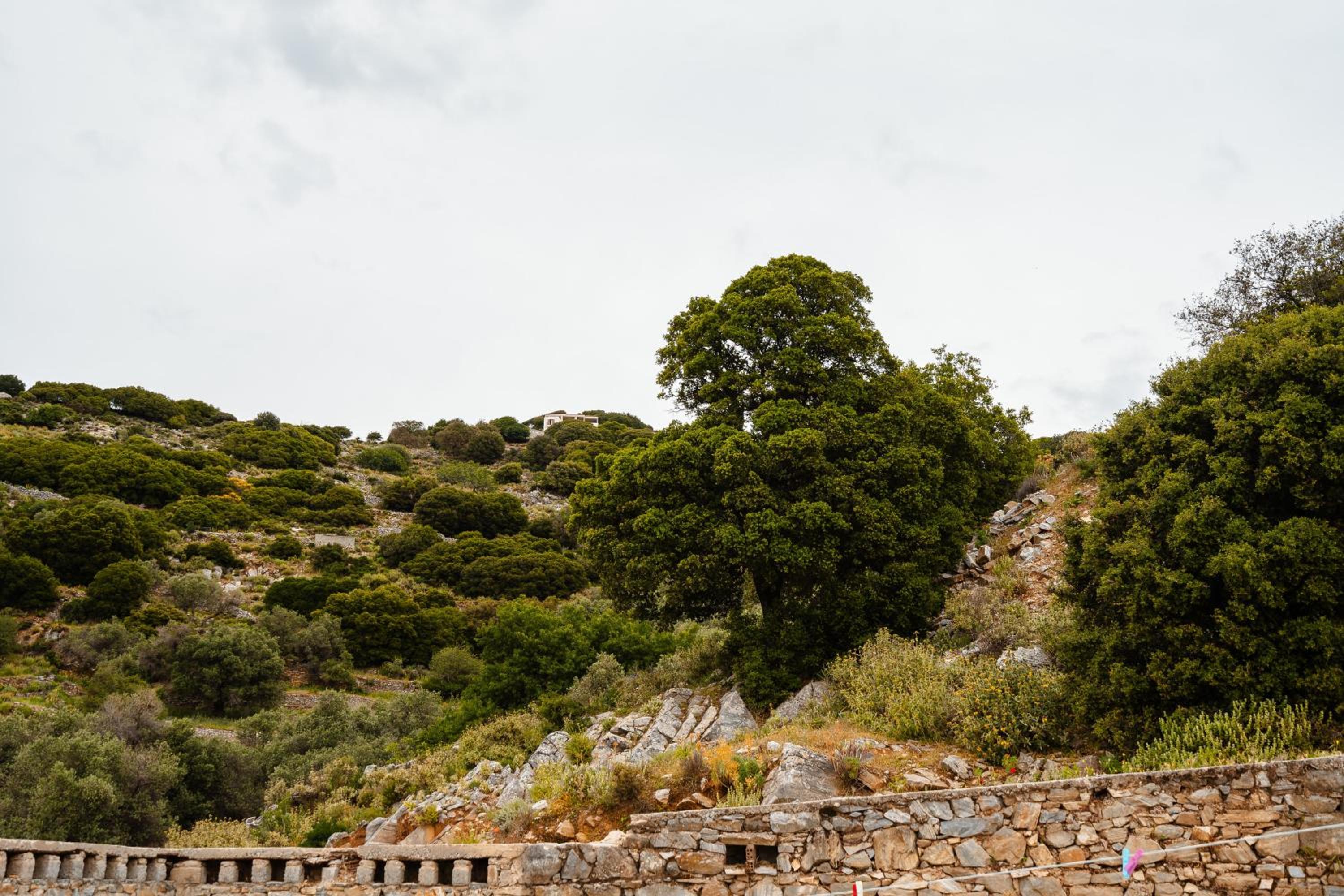 Photo 47