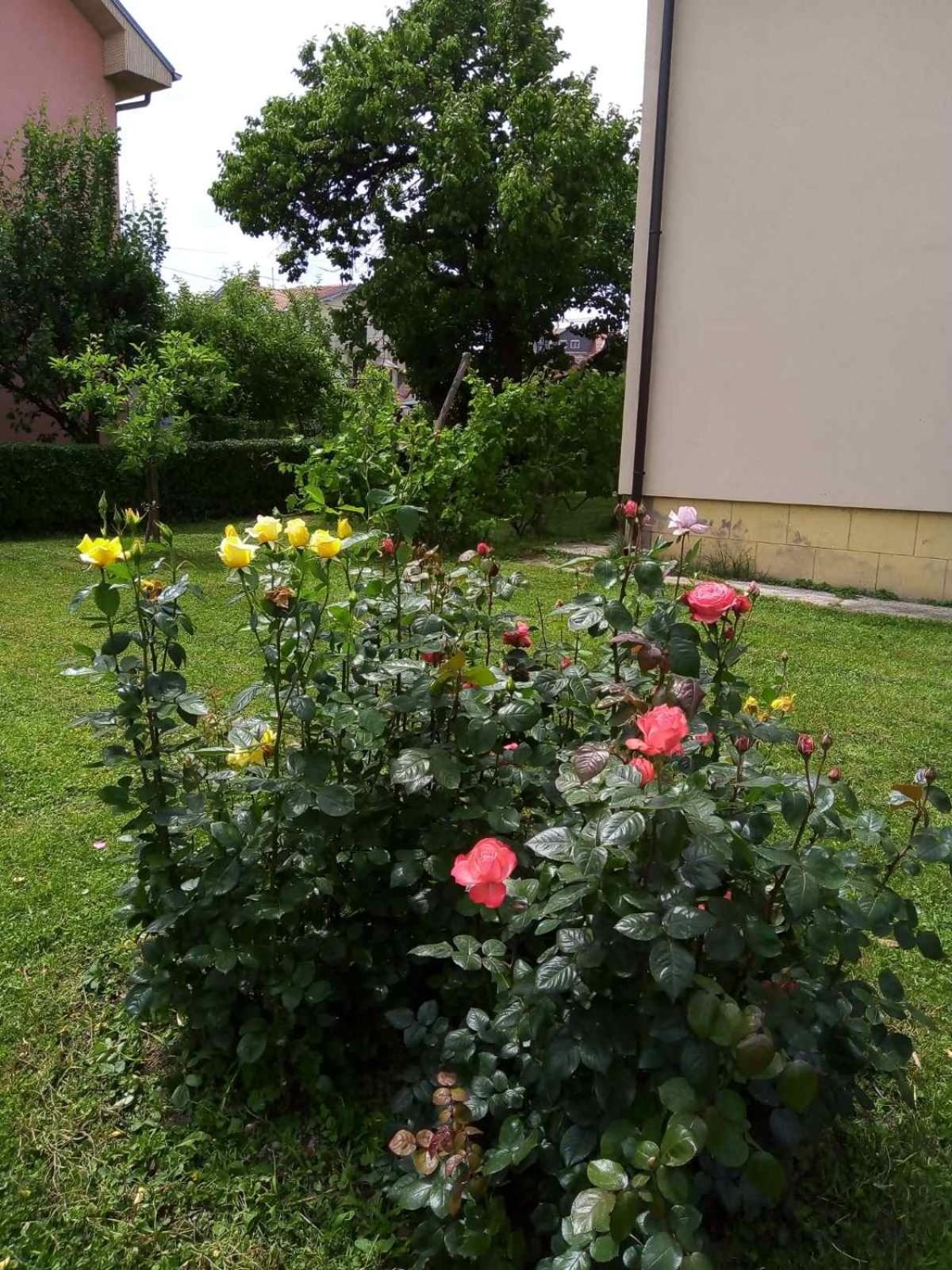 Apartmani Filip