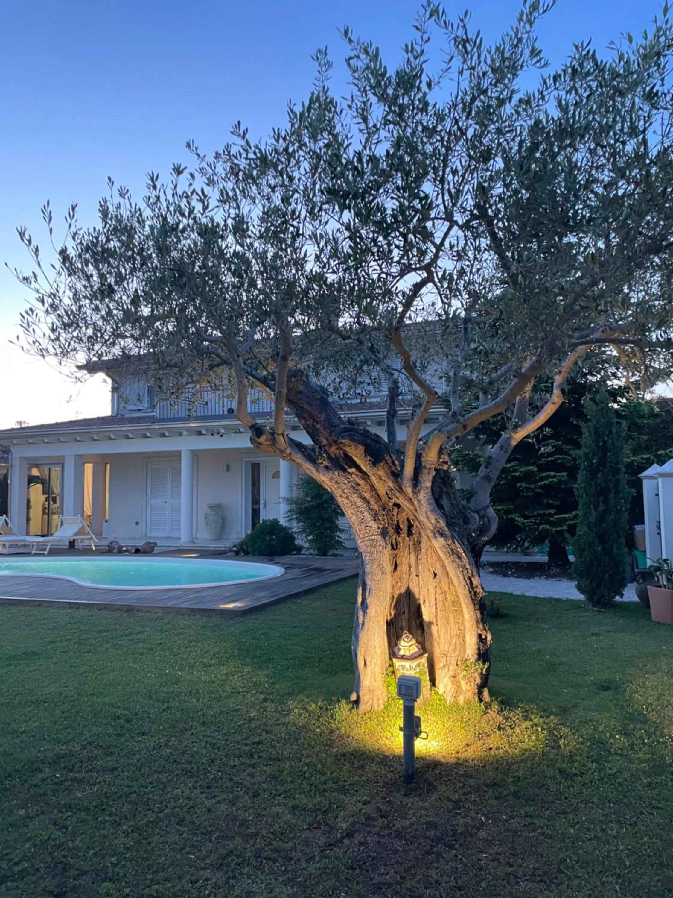 Villa Concetta