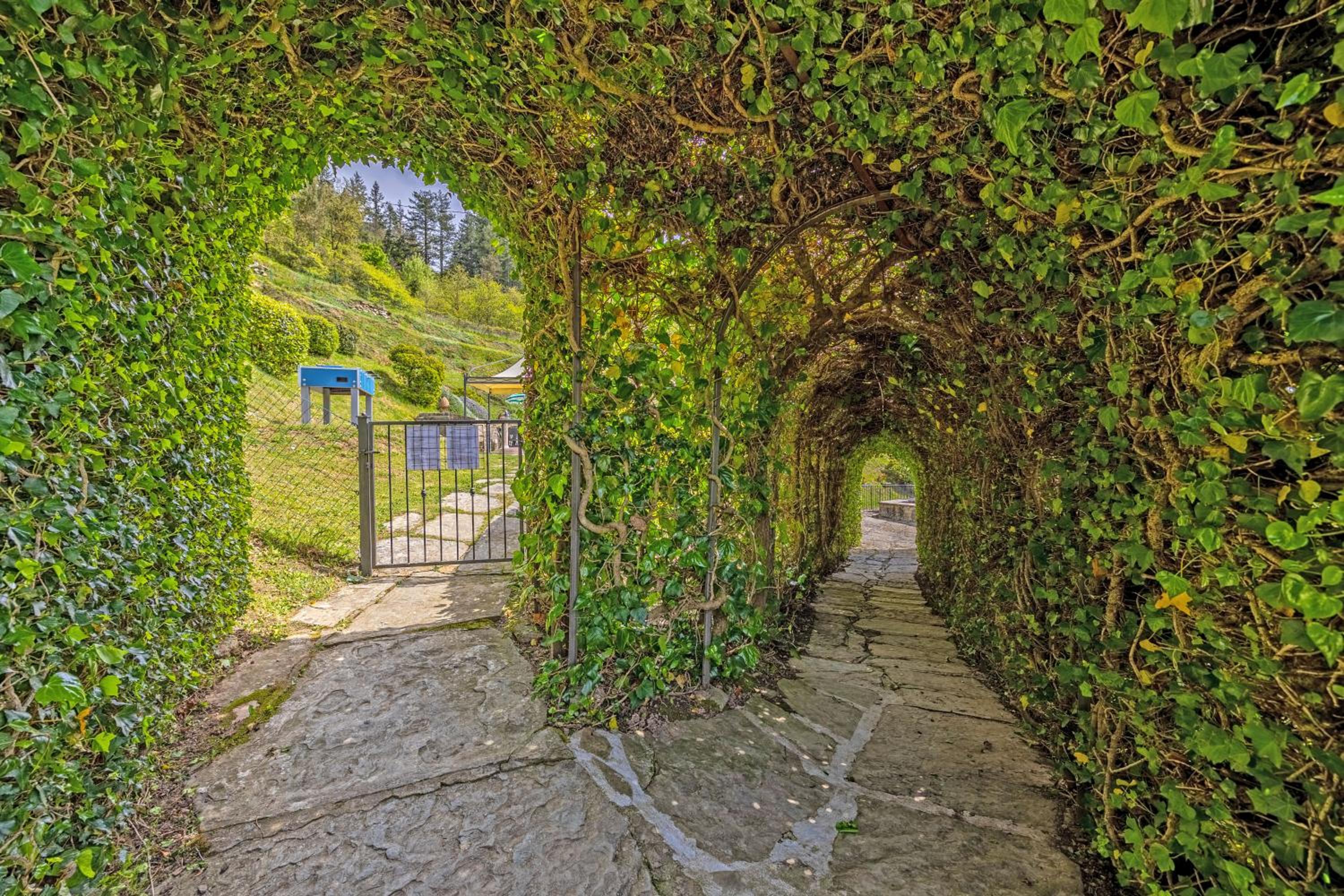Villa la Rosa view 5