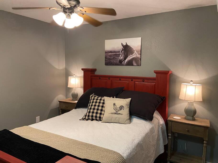 Tiny farm home on 225 acres, 28 miles from Durant, Pet friendly view 4