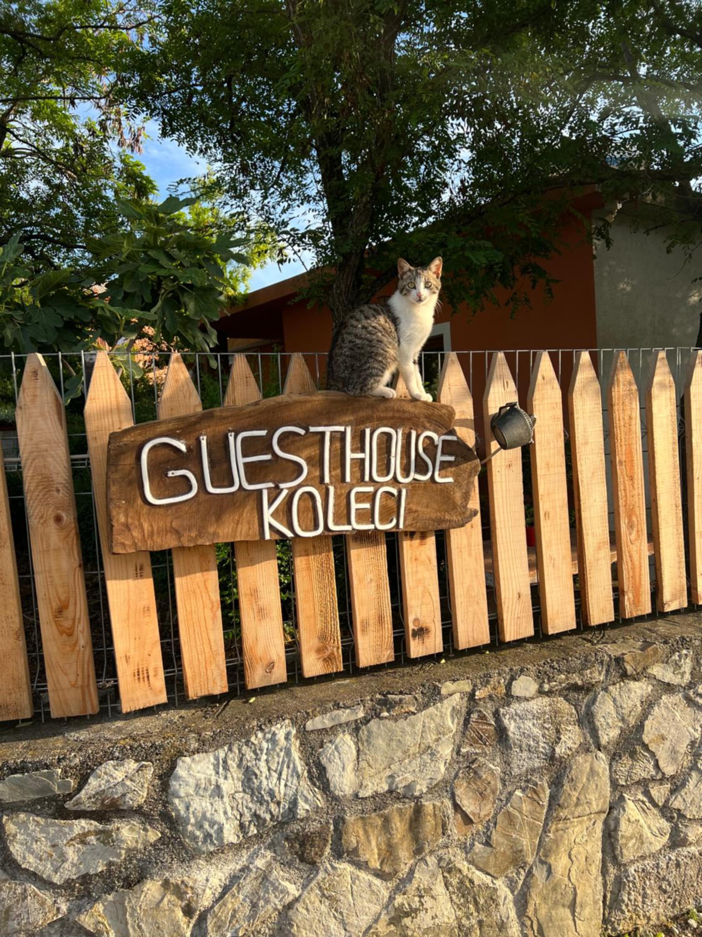 Guesthouse Koleci - Mrizi Zanave