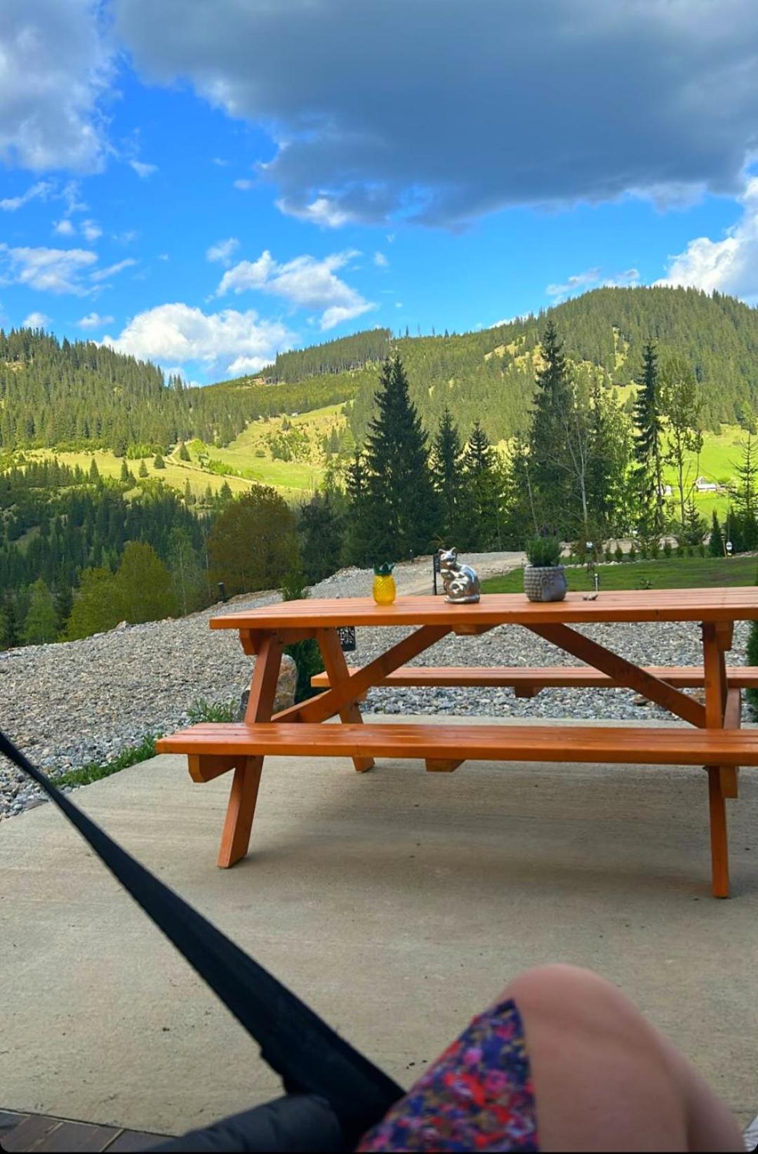 Cazare Cabana Pensiuni Vatra Dornei Bucovina cu Ciubar view 4