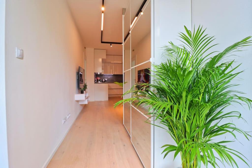 The Peony Apartment in Smichov, Prague 5