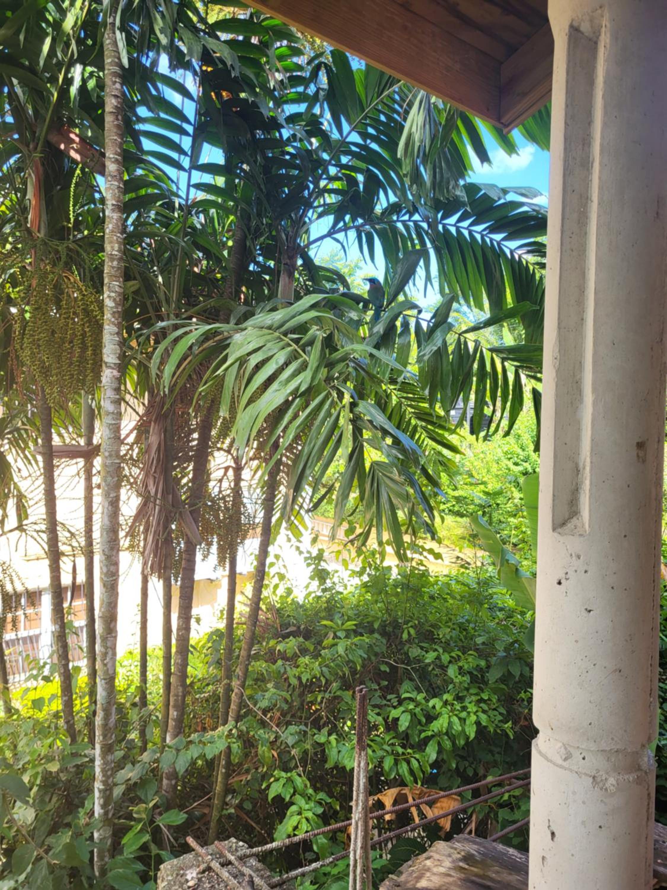 other