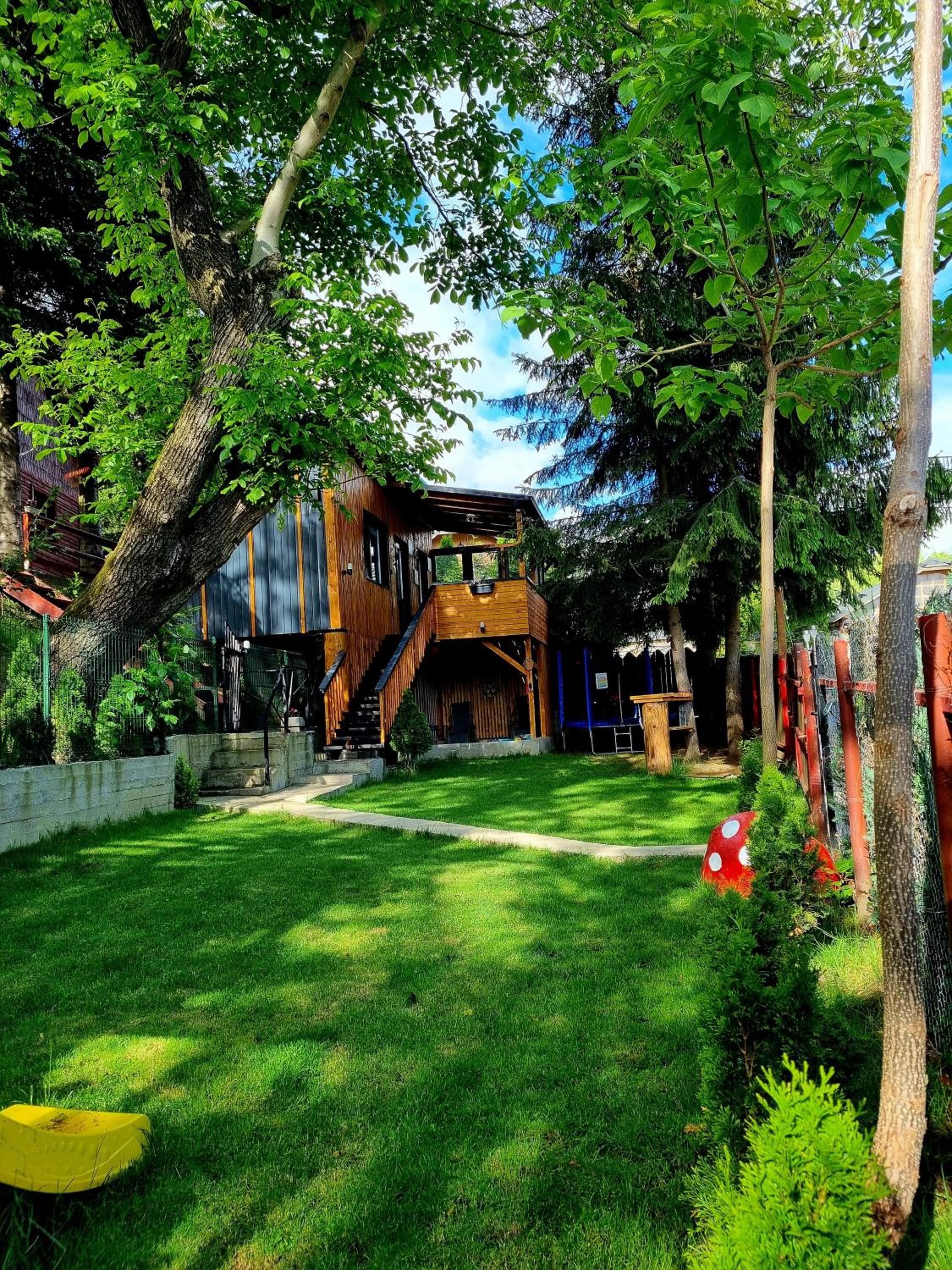 Photo 19