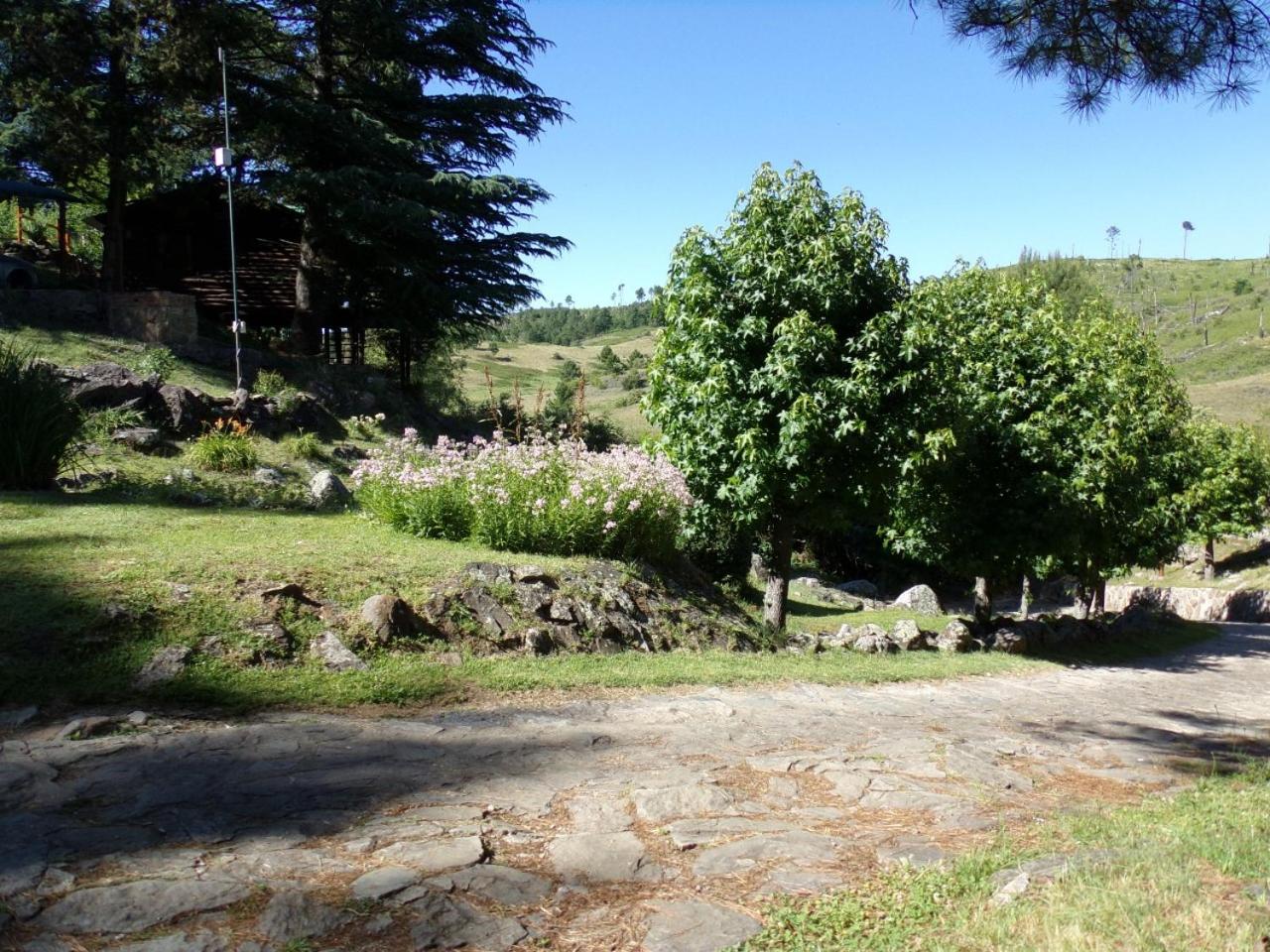 Suenos del Bosque ApartHotel
