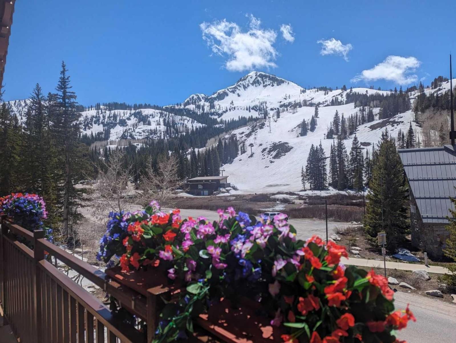 Brighton Ski Resort Hidden Falls 1 Bedroom Chalet Utah view 2