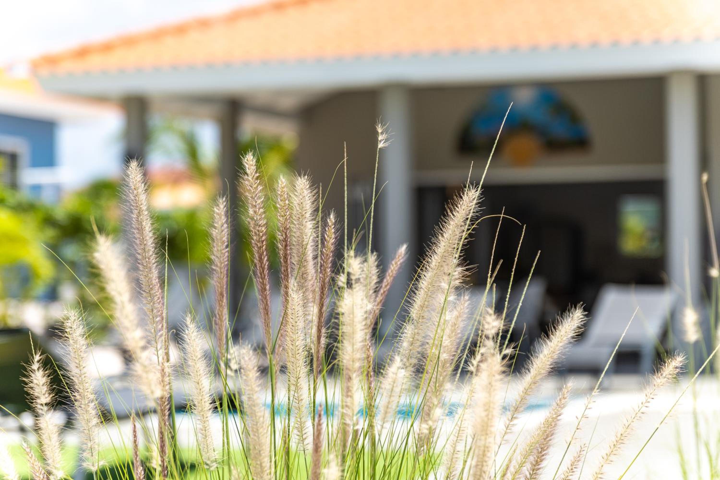 Villa Nisa - HOMEofEase - Villapark Fontein