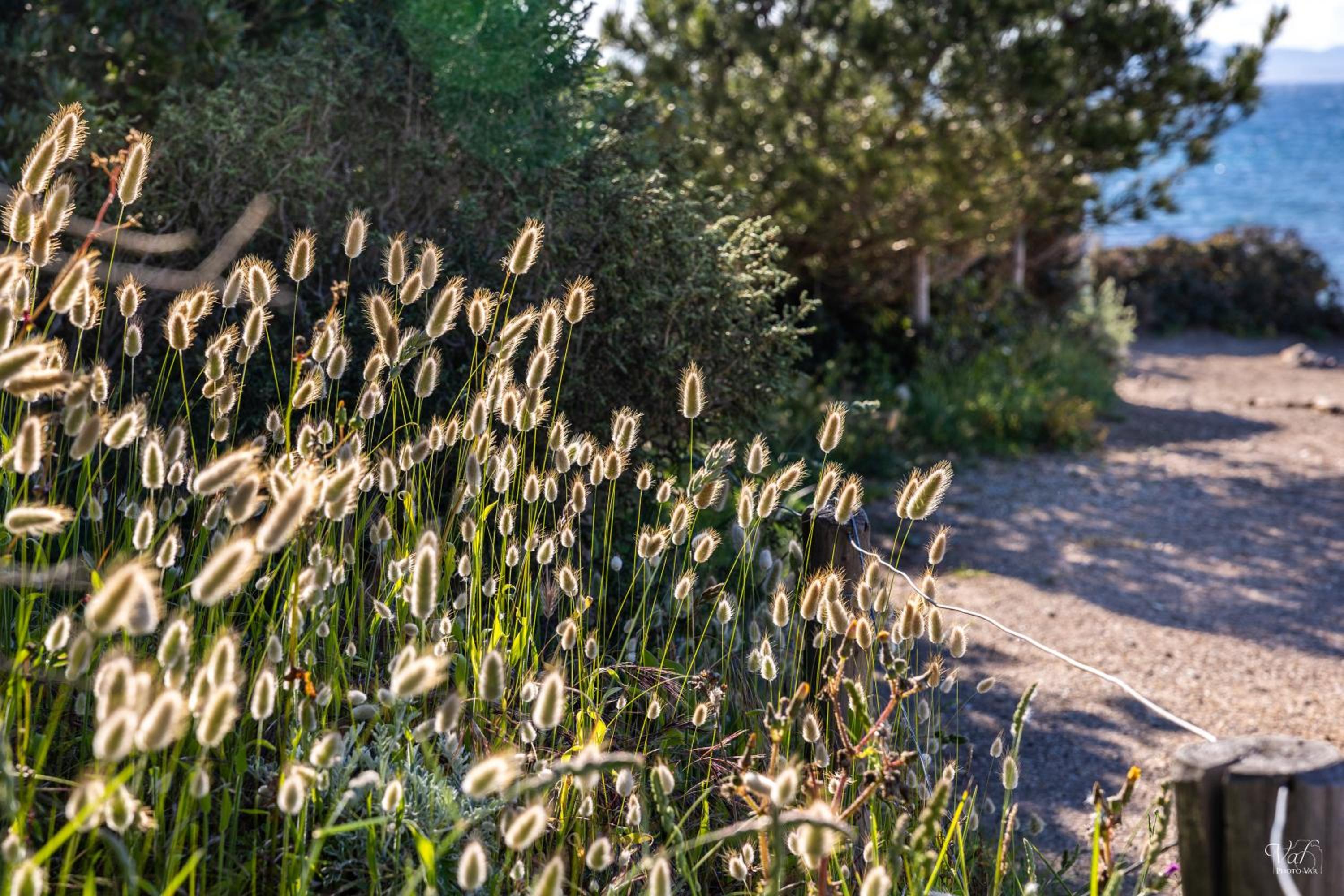 Le Lodge de la Presqu île de Giens Sea and Mountain Pleasure