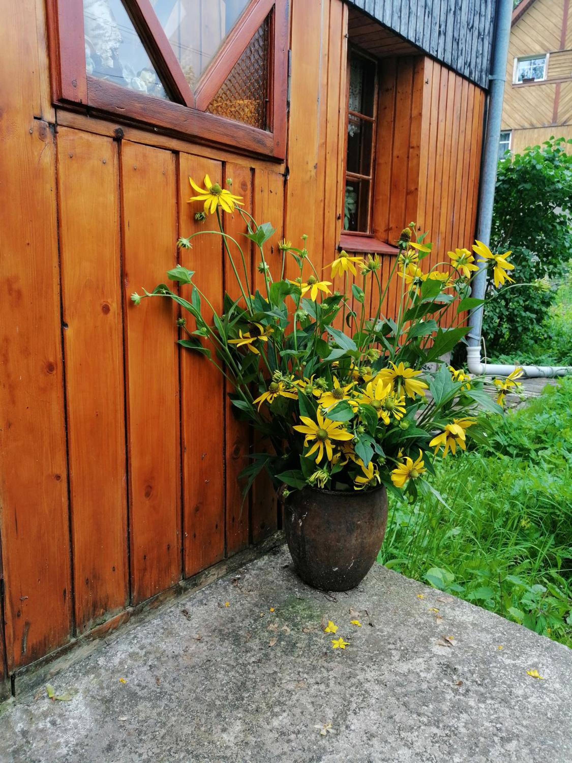 Photo 32