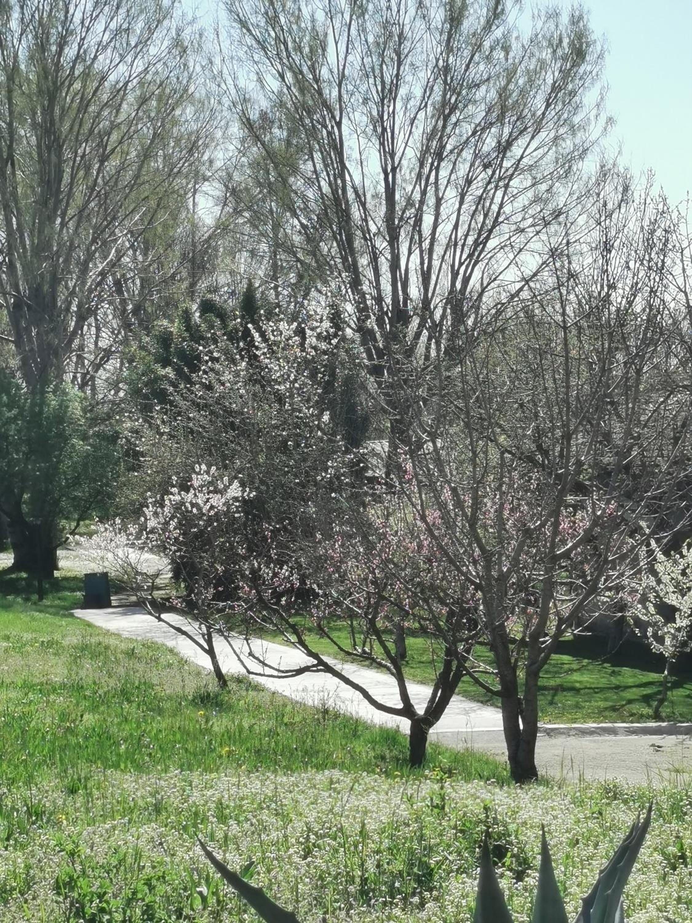 Appartamento Villa Melograno B&b view 4