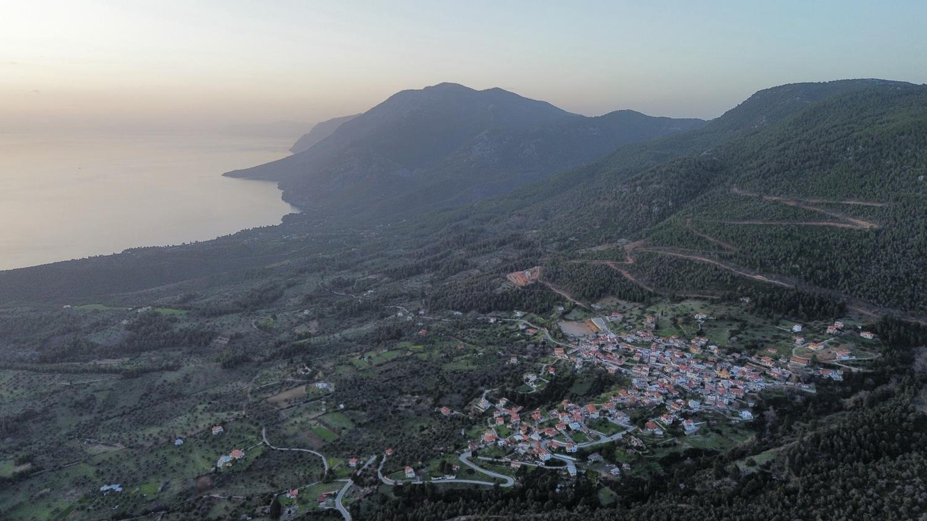 Photo 43