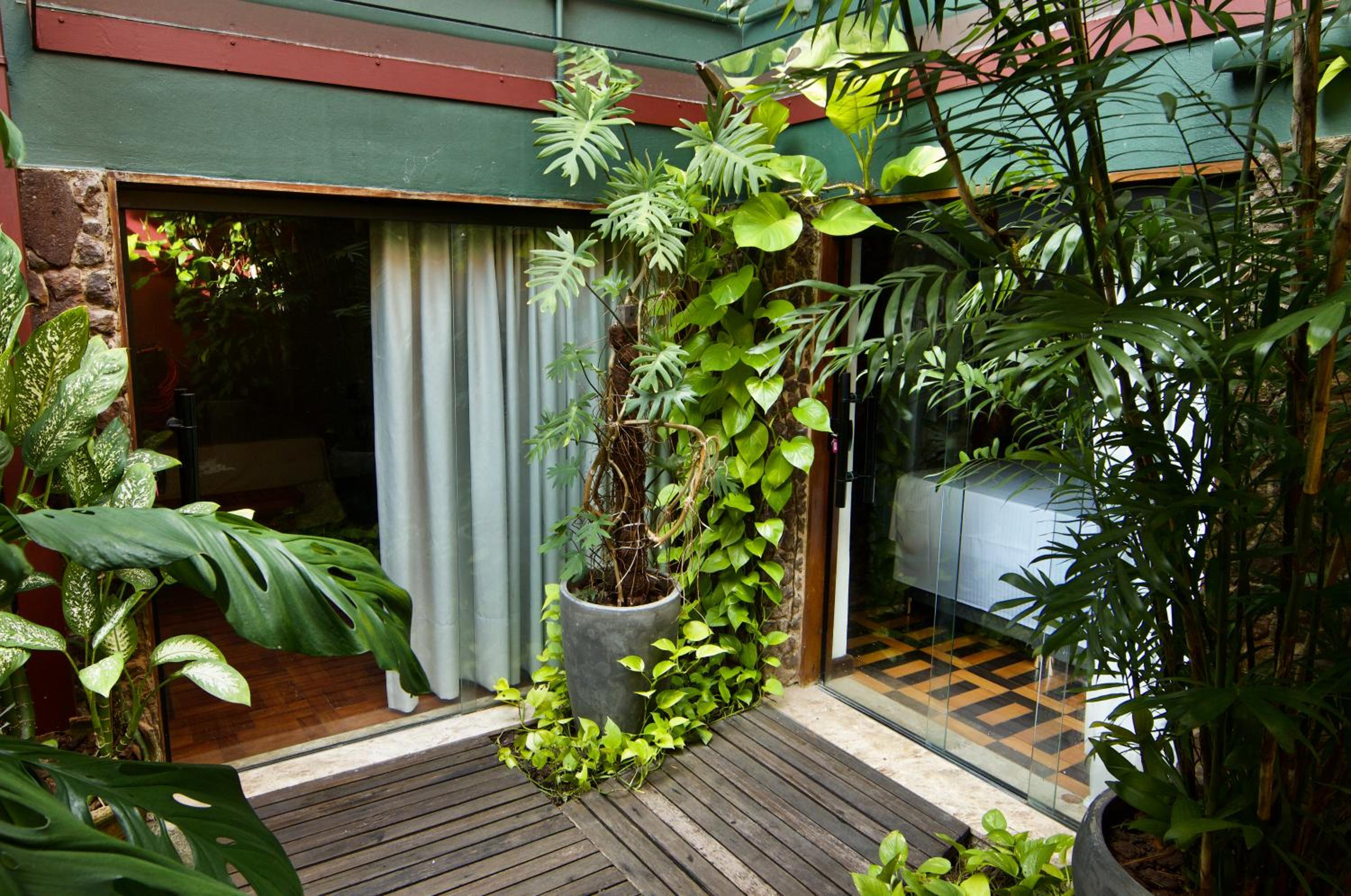 Cas'Amazonia Brasil