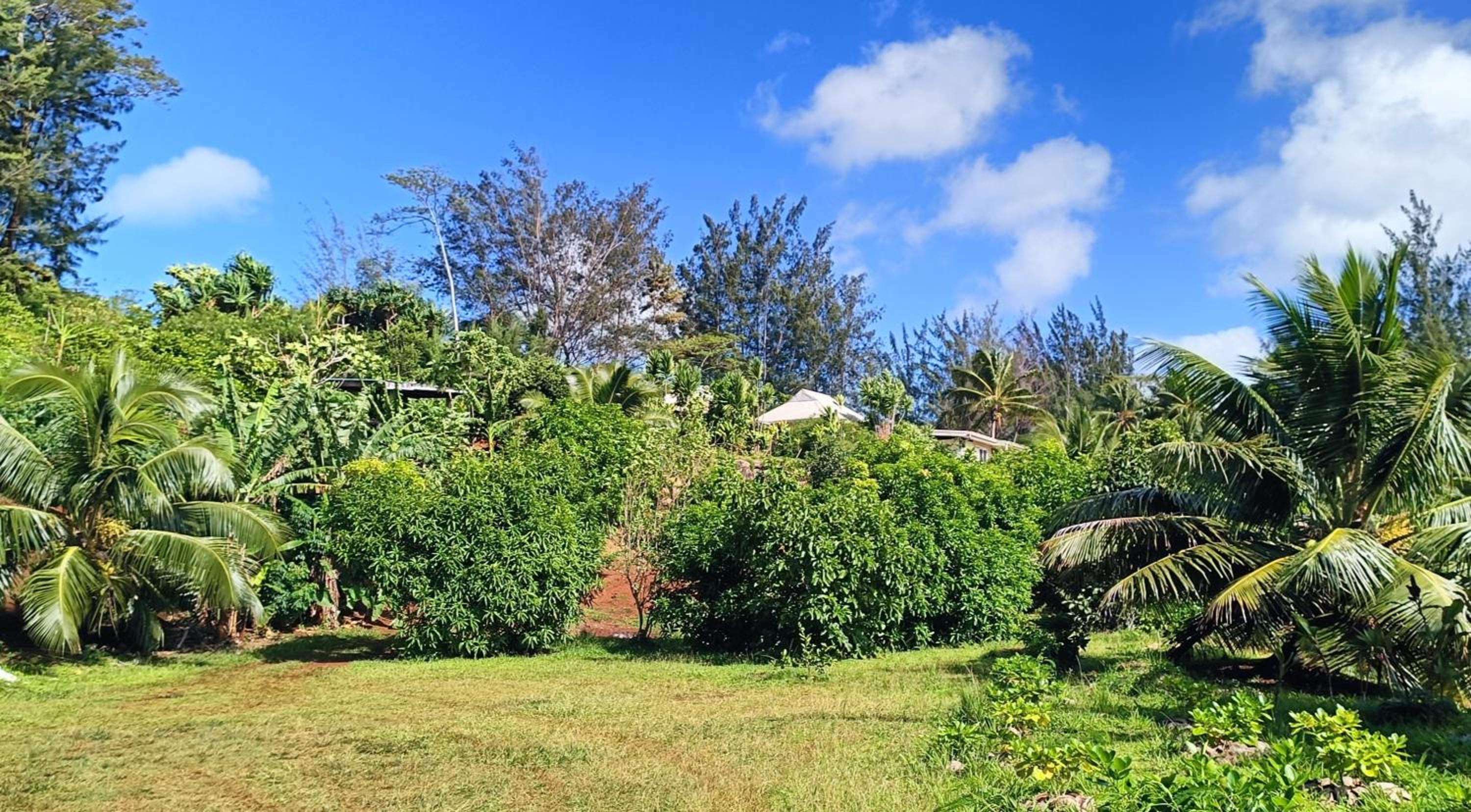 Fare NATIHERE Huahine 1 view 5