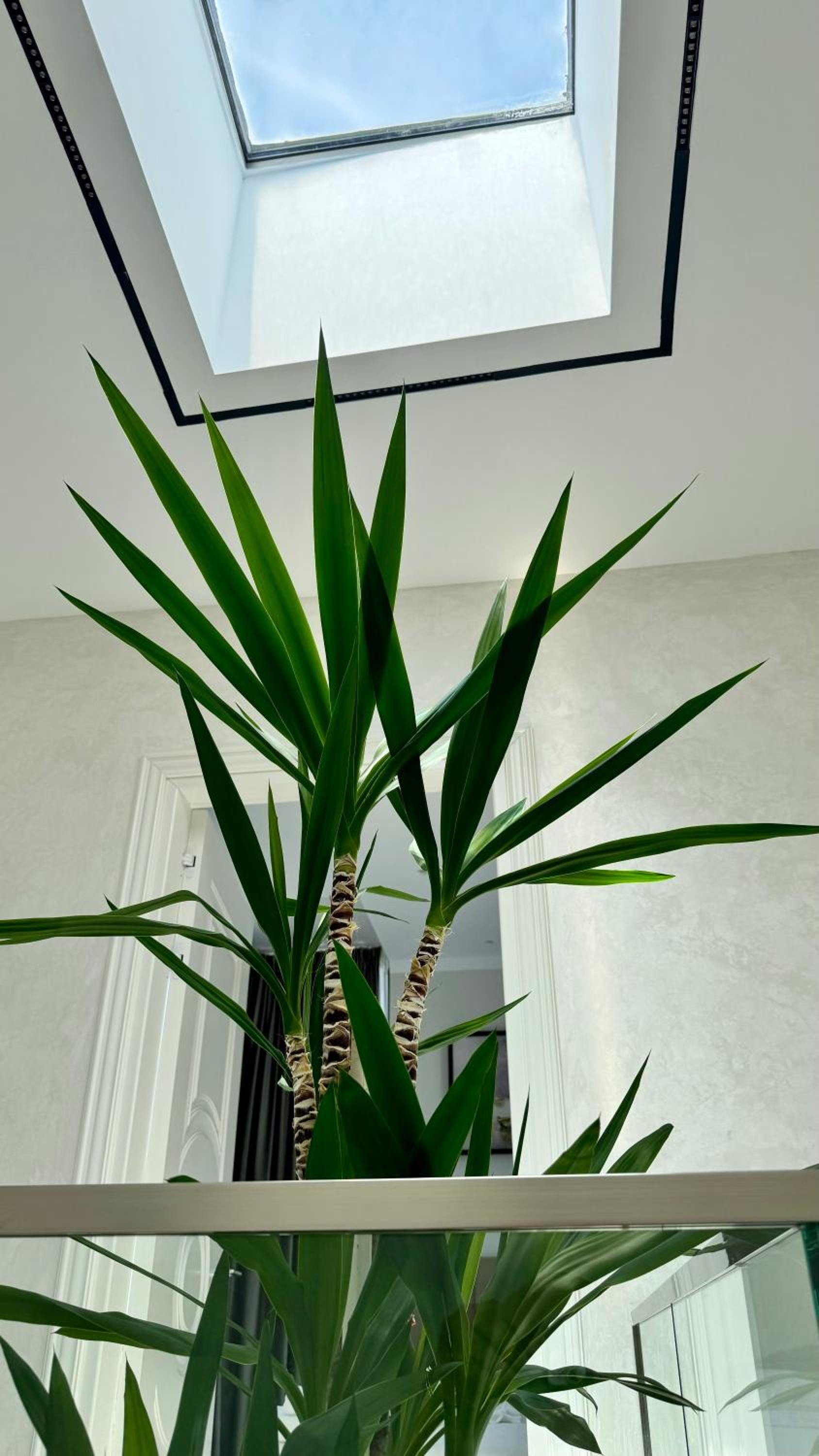 Musique Villa Circlebnb Drimades
