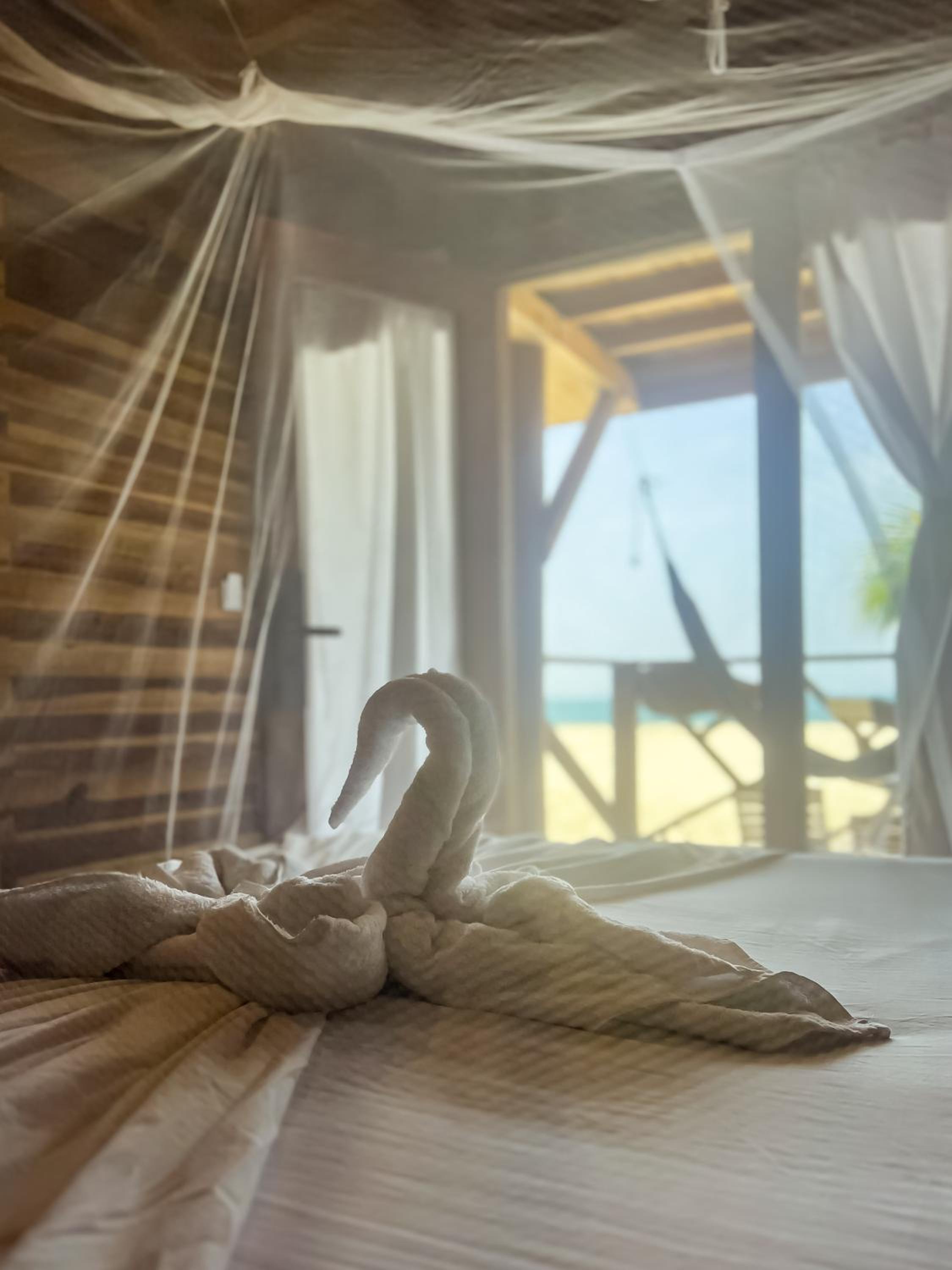 Hostal MOCAMBO BEACH