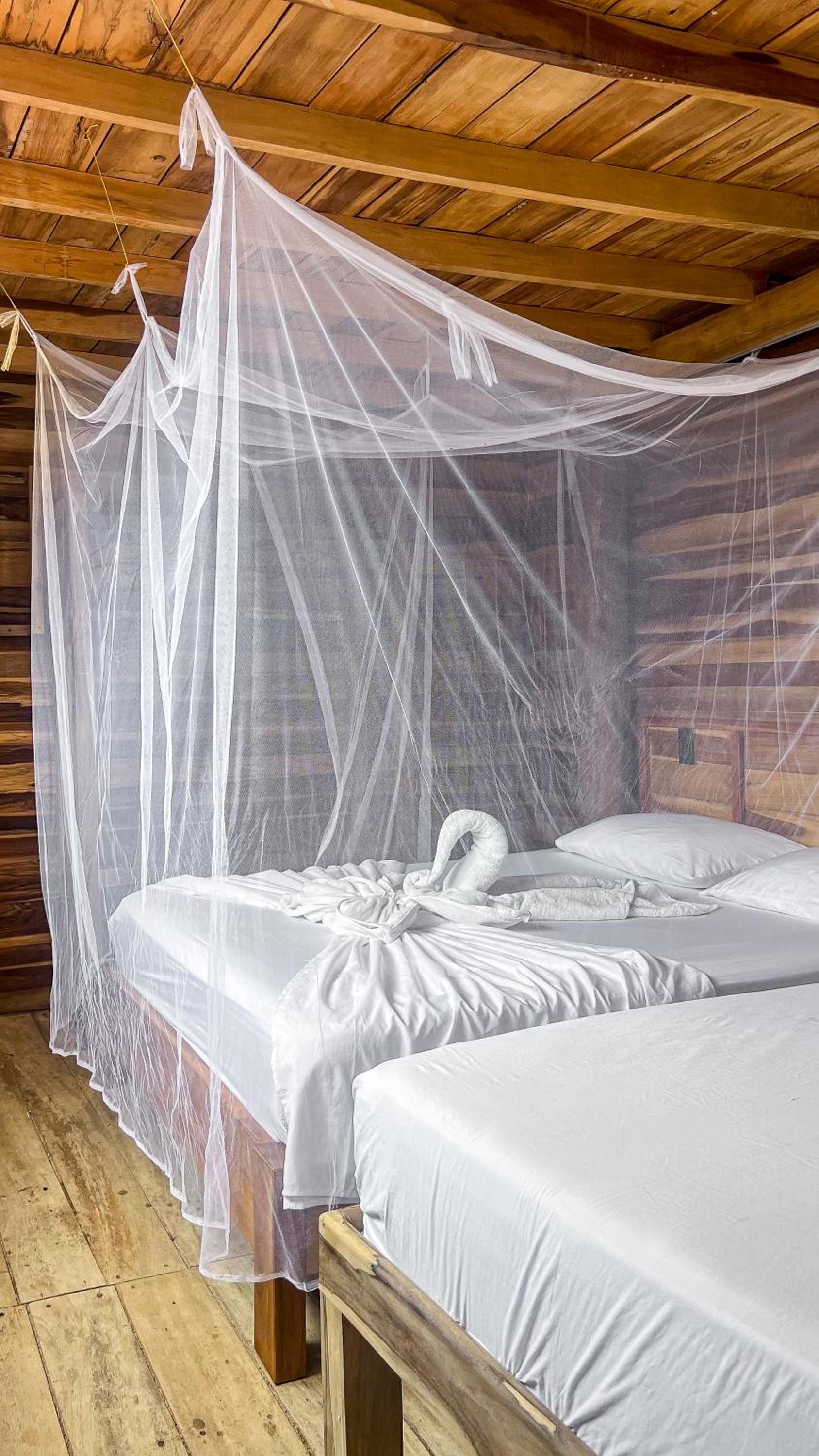 Hostal MOCAMBO BEACH