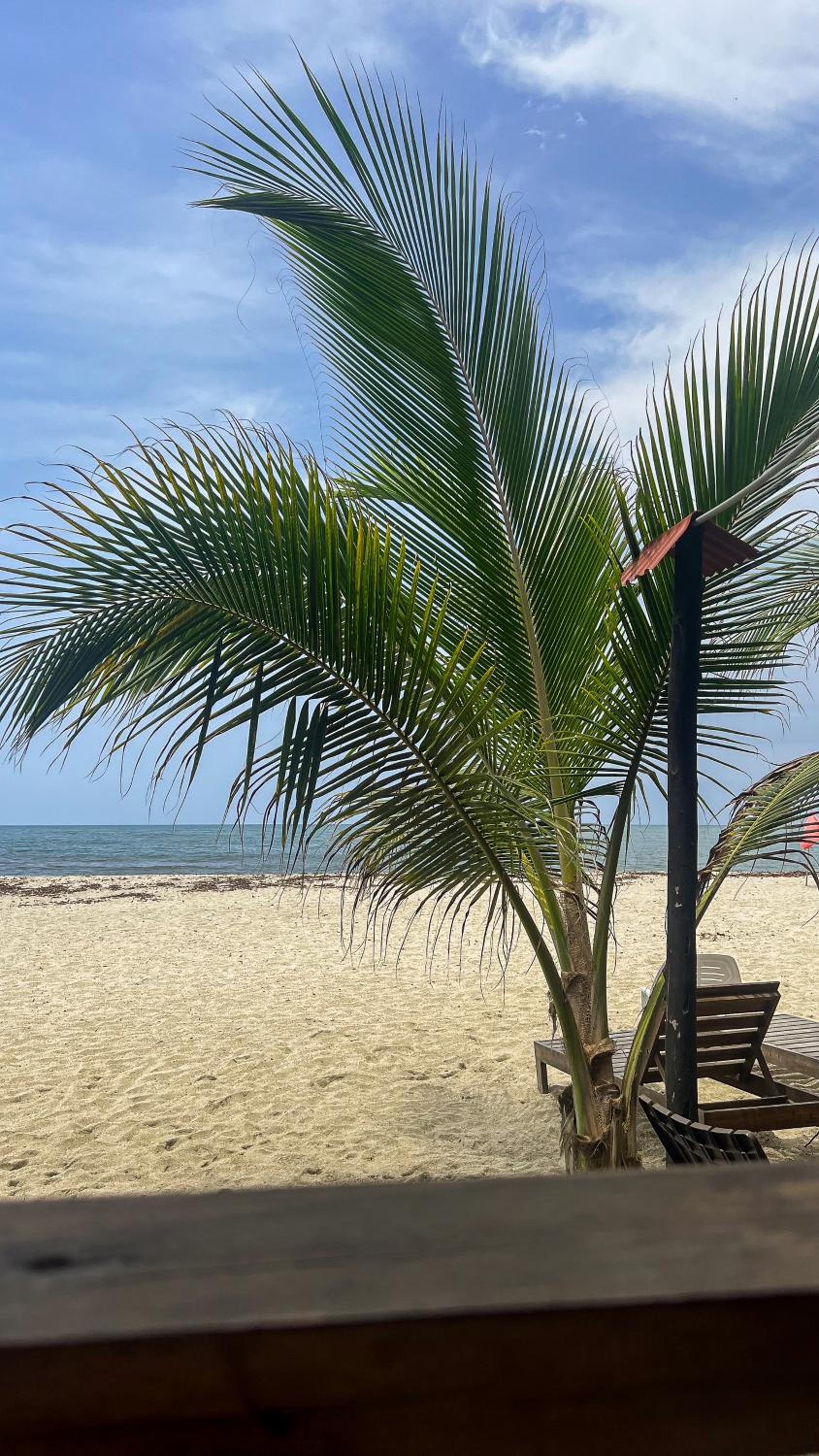 Hostal MOCAMBO BEACH