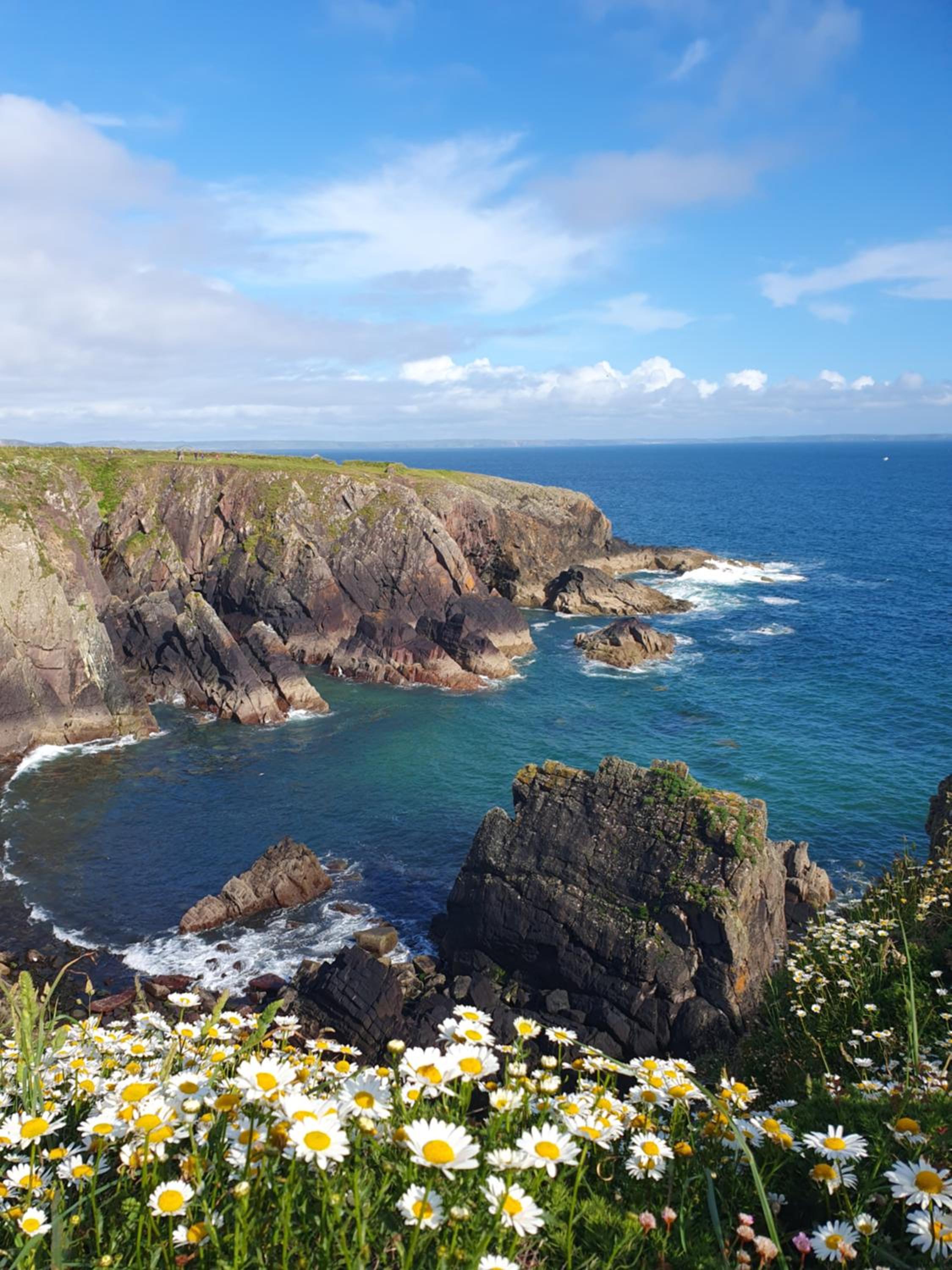 Escape to Pembrokeshire - charming spacious cottage view 2