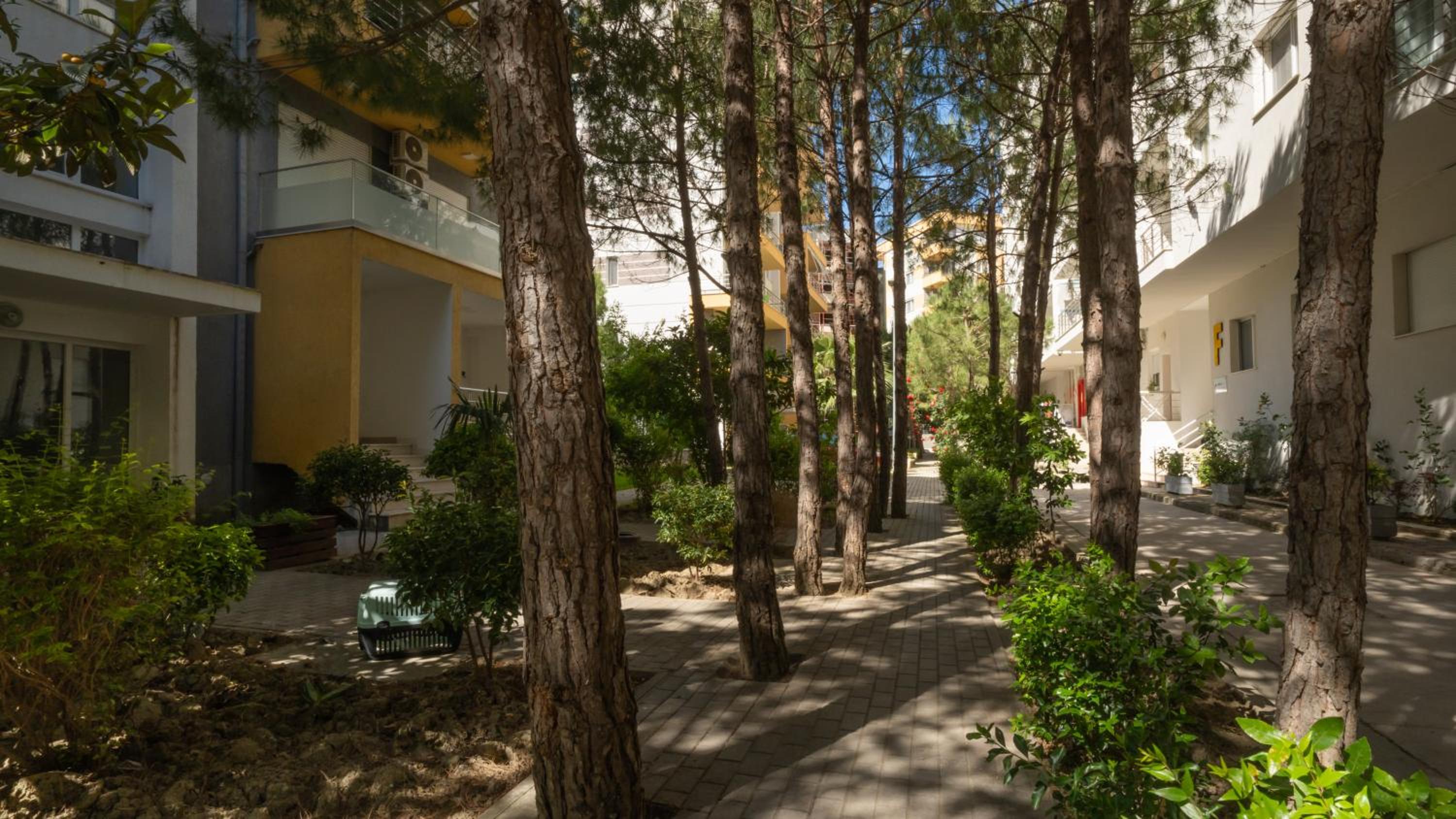 Ola Apartments