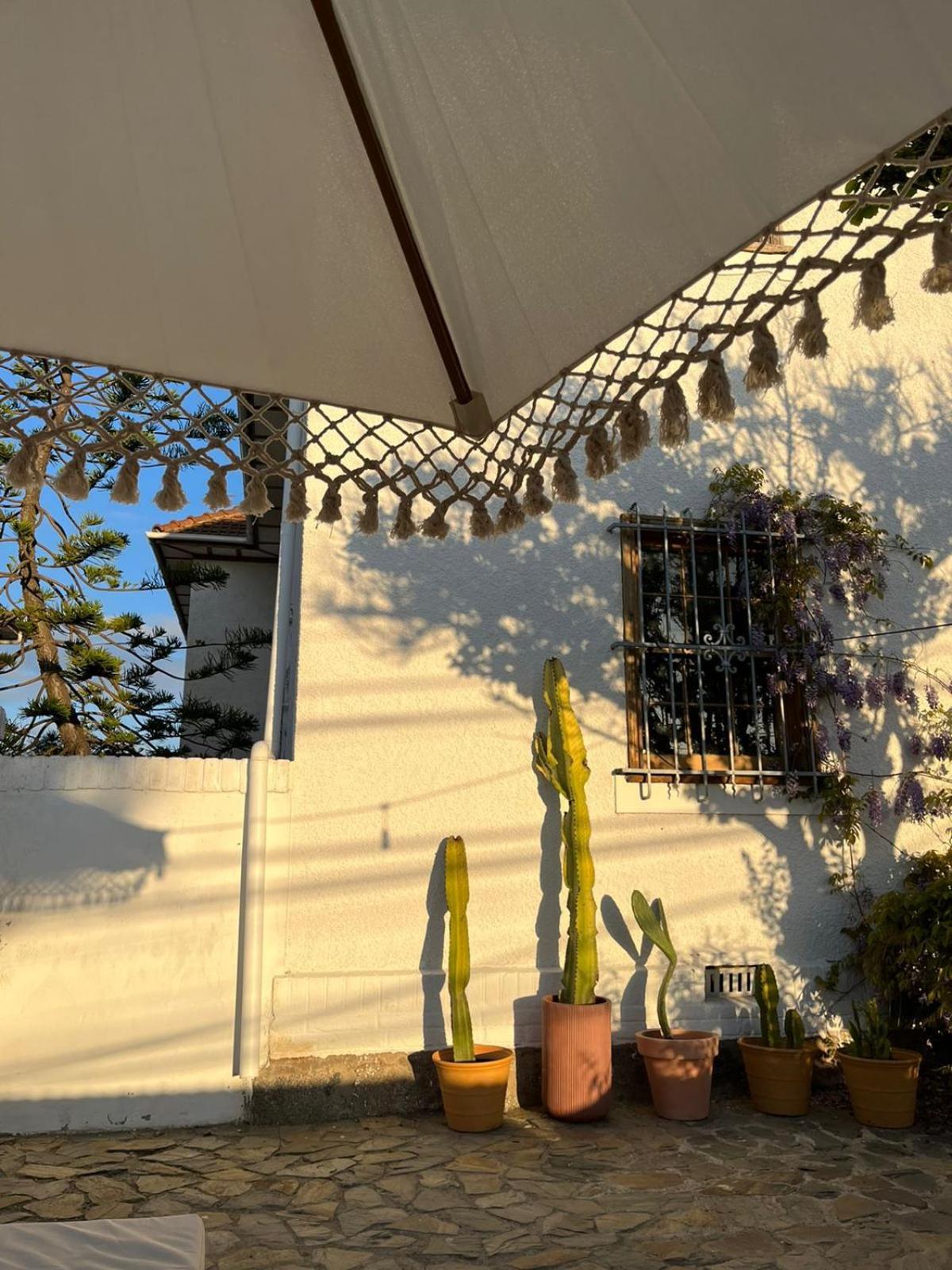 La Posada Coliving