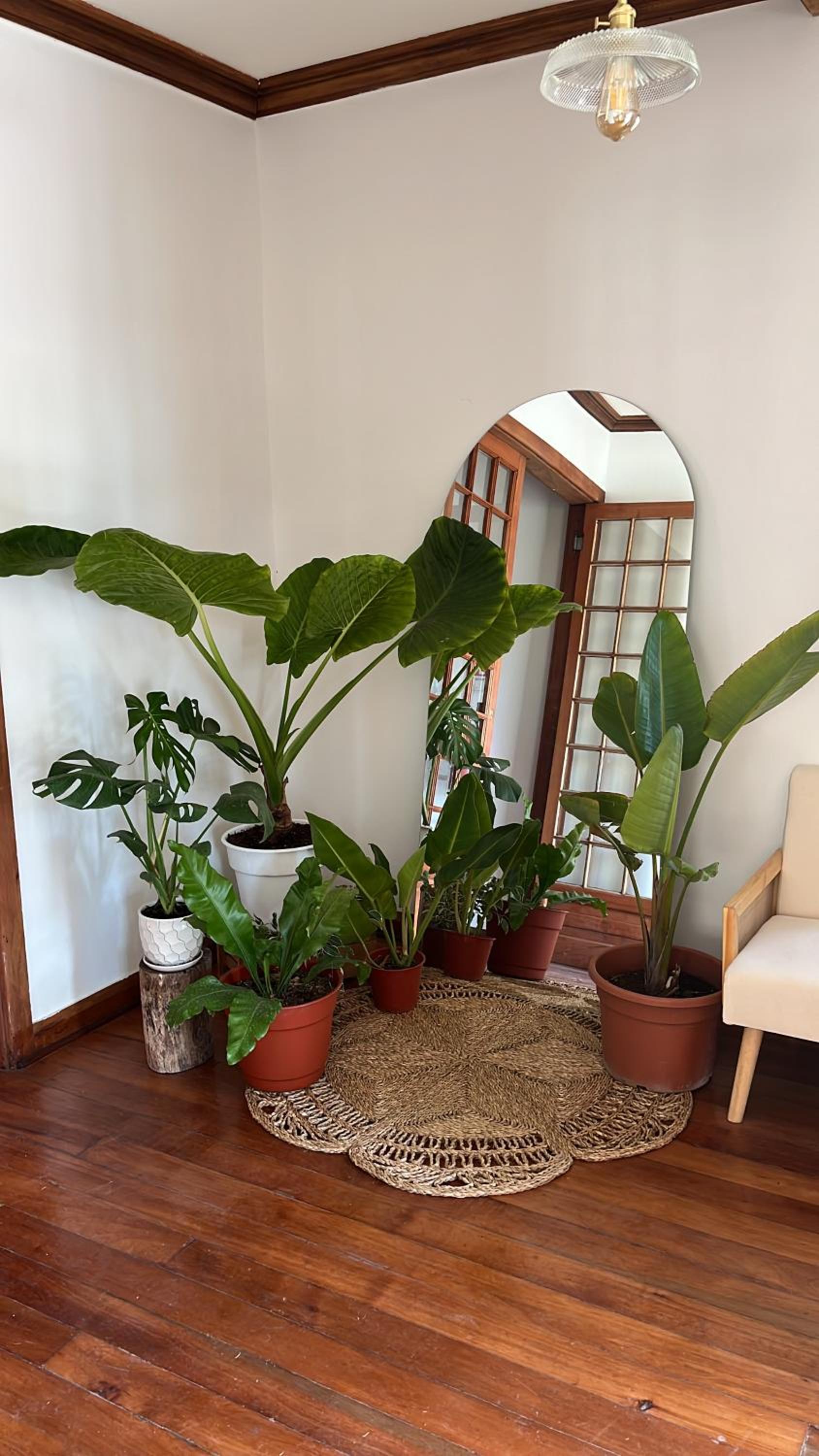 La Posada Coliving
