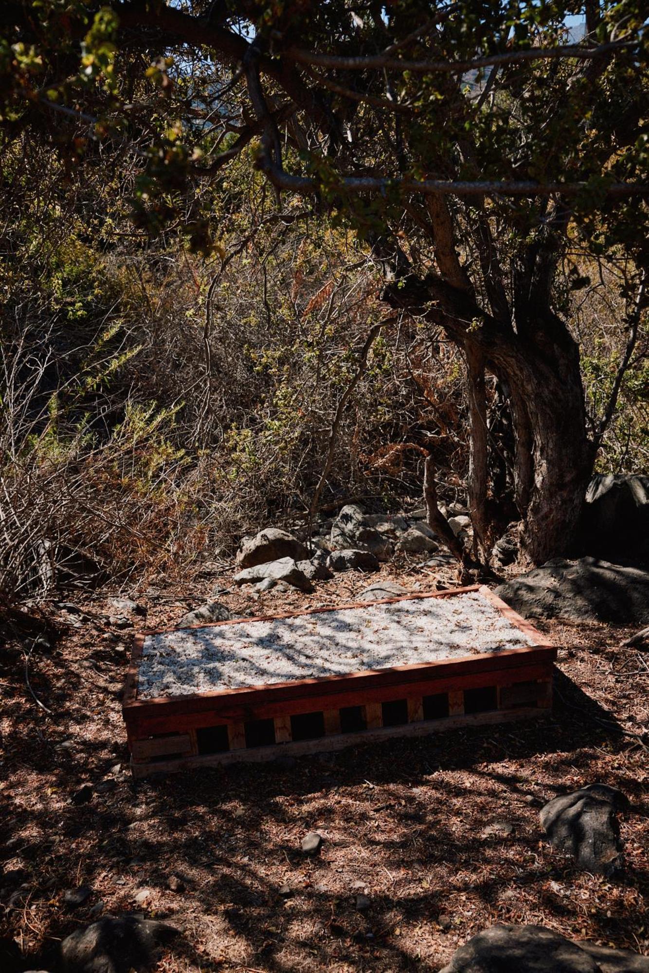 Puyacamp, domo de greda